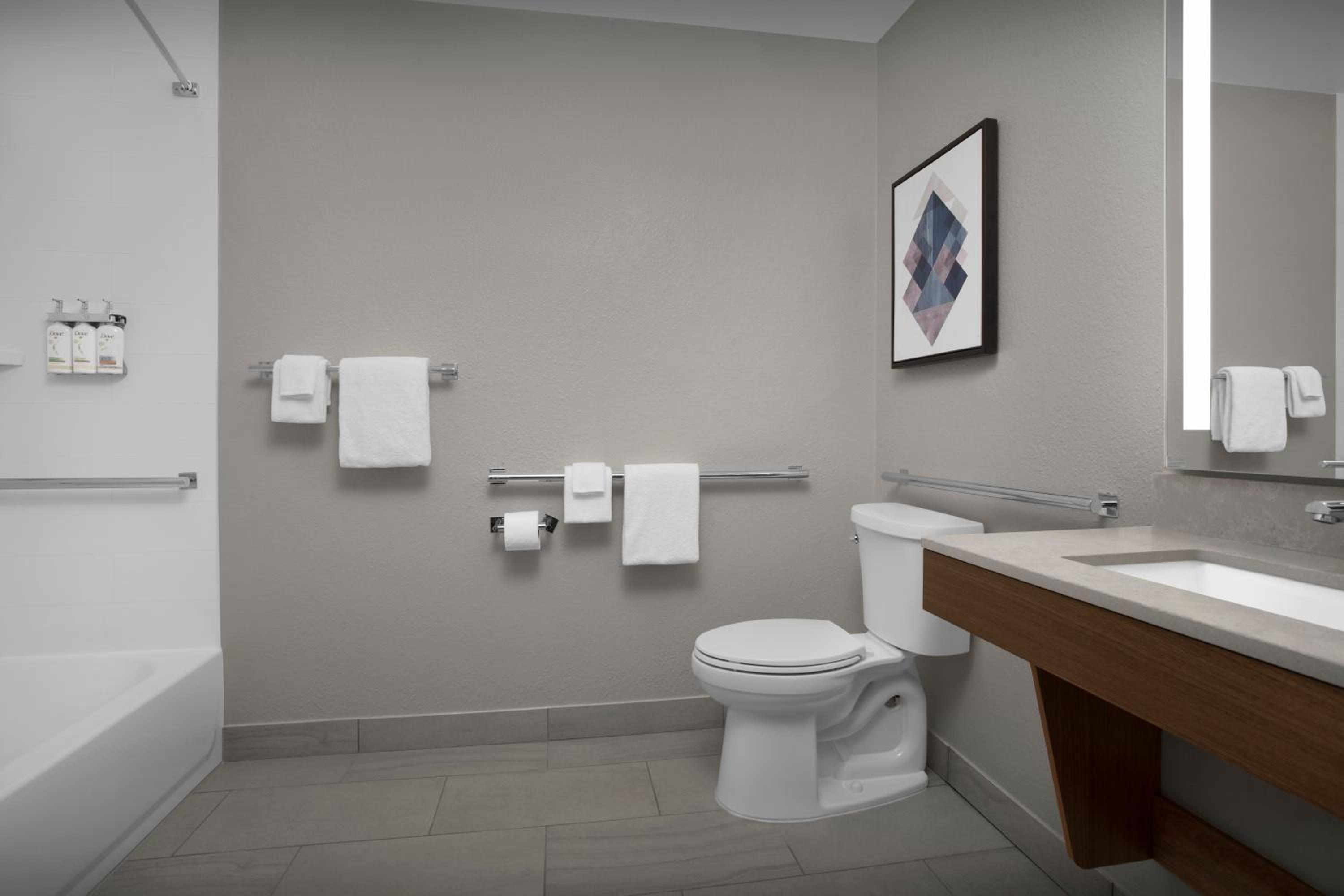 King Studio Suite with Bath Tub - Mobility Access - Photo 1