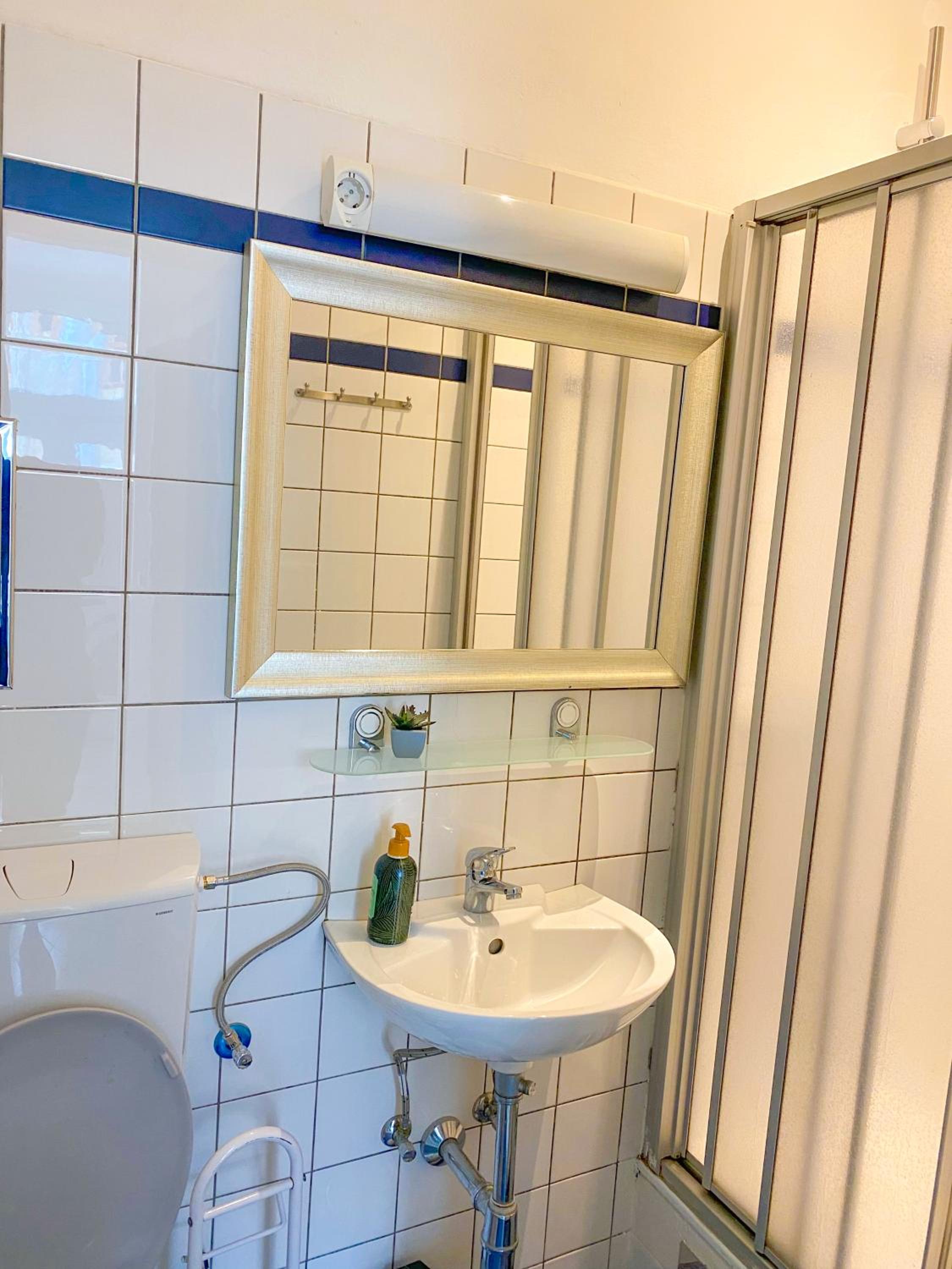Classic Apartment
