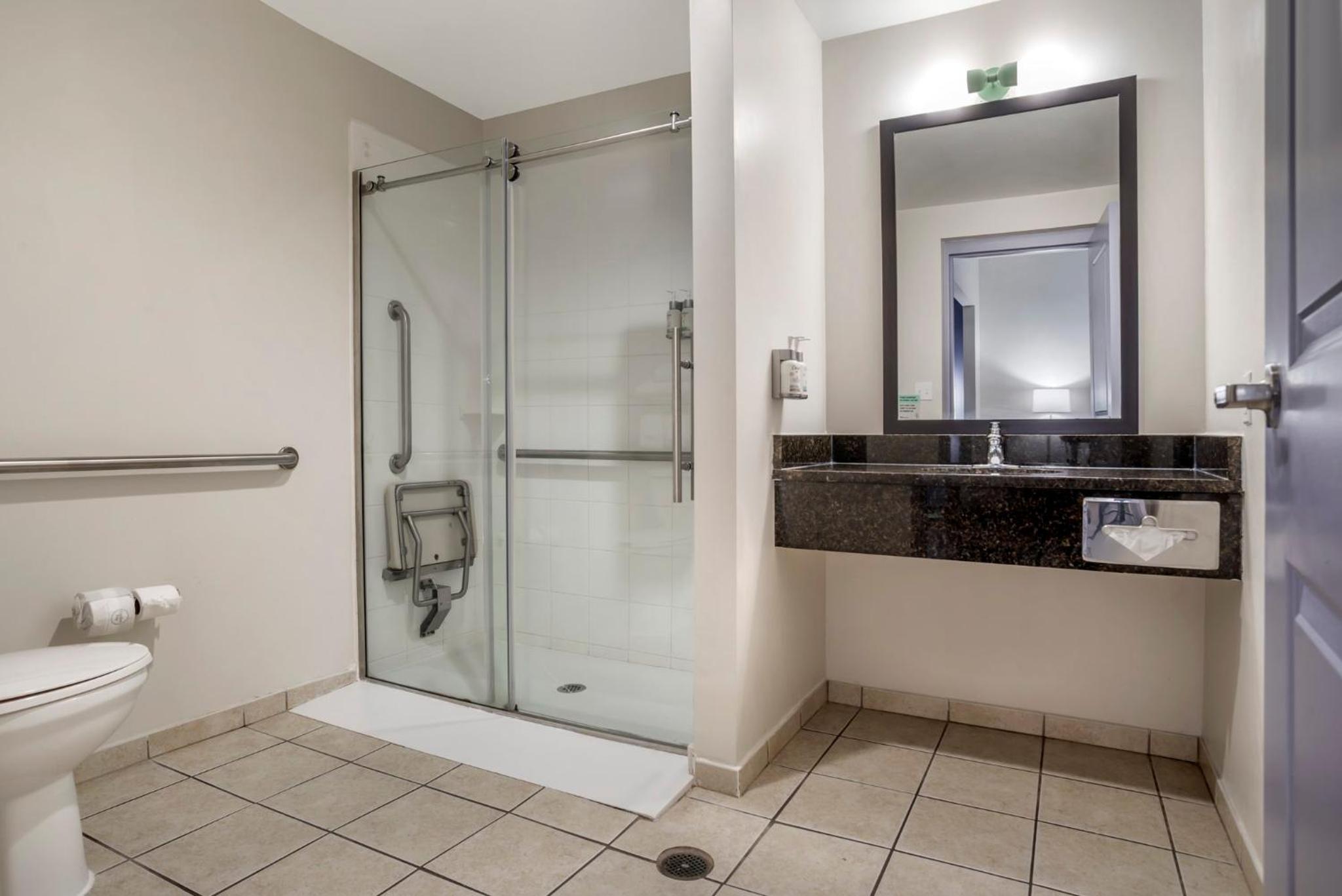 Standard King Room with Sofa Bed and Shower - Communications and Mobility Access/Pet Friendly - Photo 1