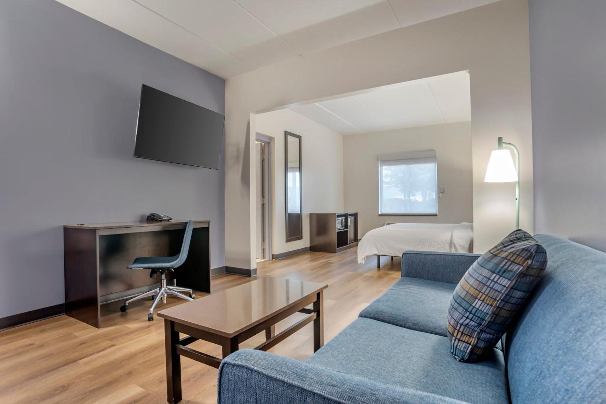 Standard King Room with Sofa Bed - Pet Friendly - Photo 4