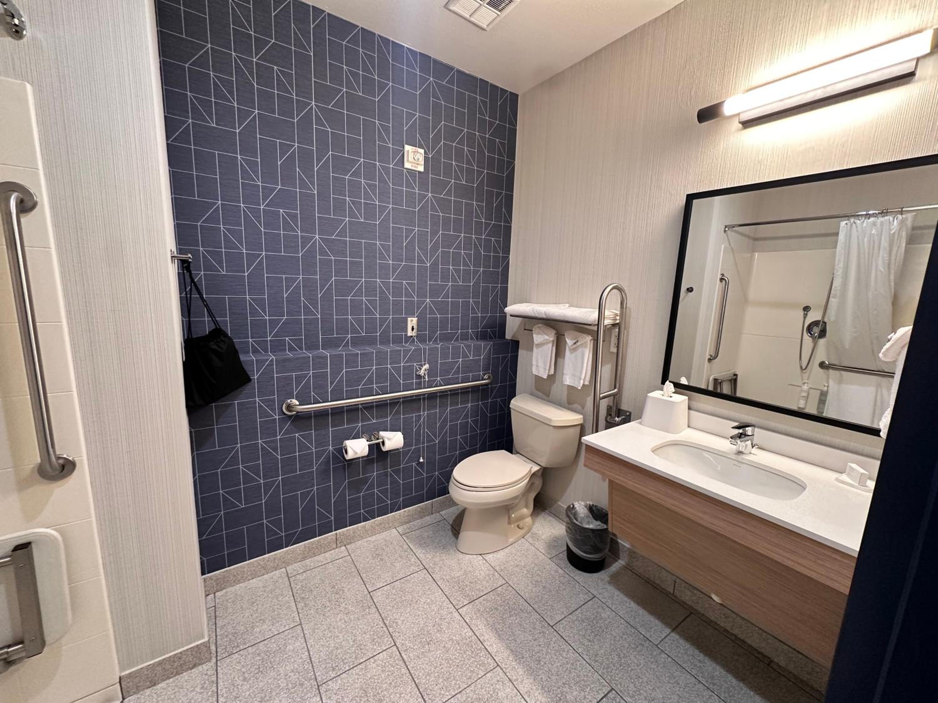 King Room with Roll-In Shower - Mobility Access photo 2