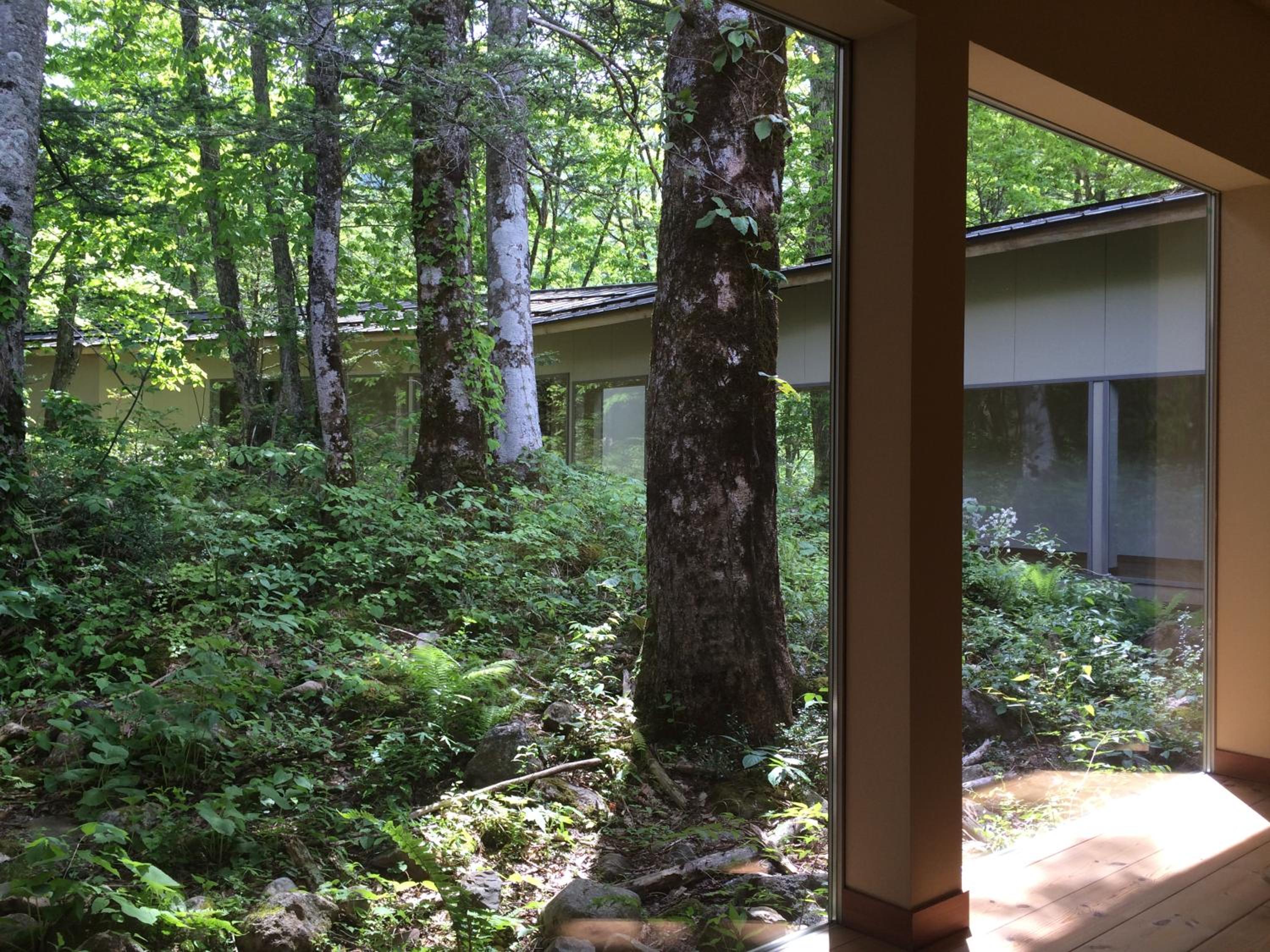Standard Japanese Style Room with Open Air Bath photo 2