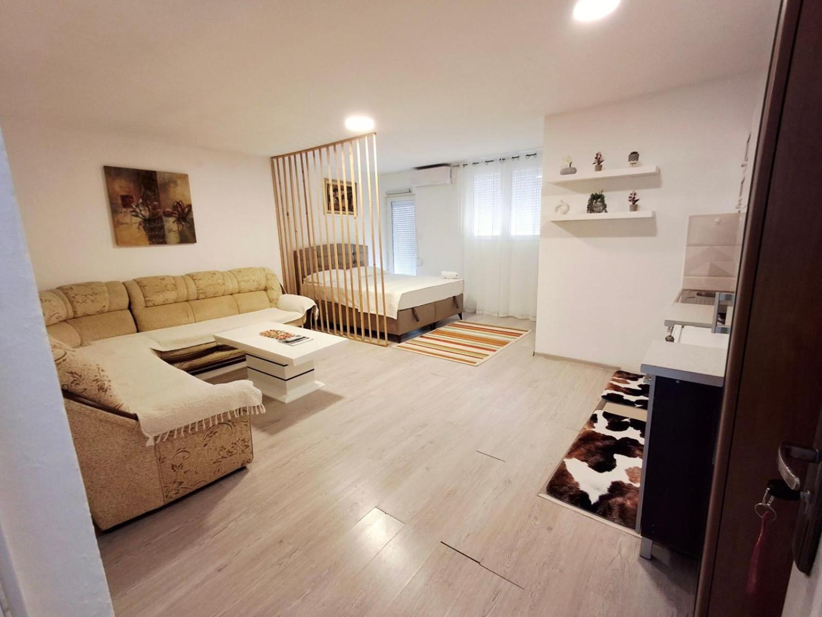 Studio Apartment with King Bed