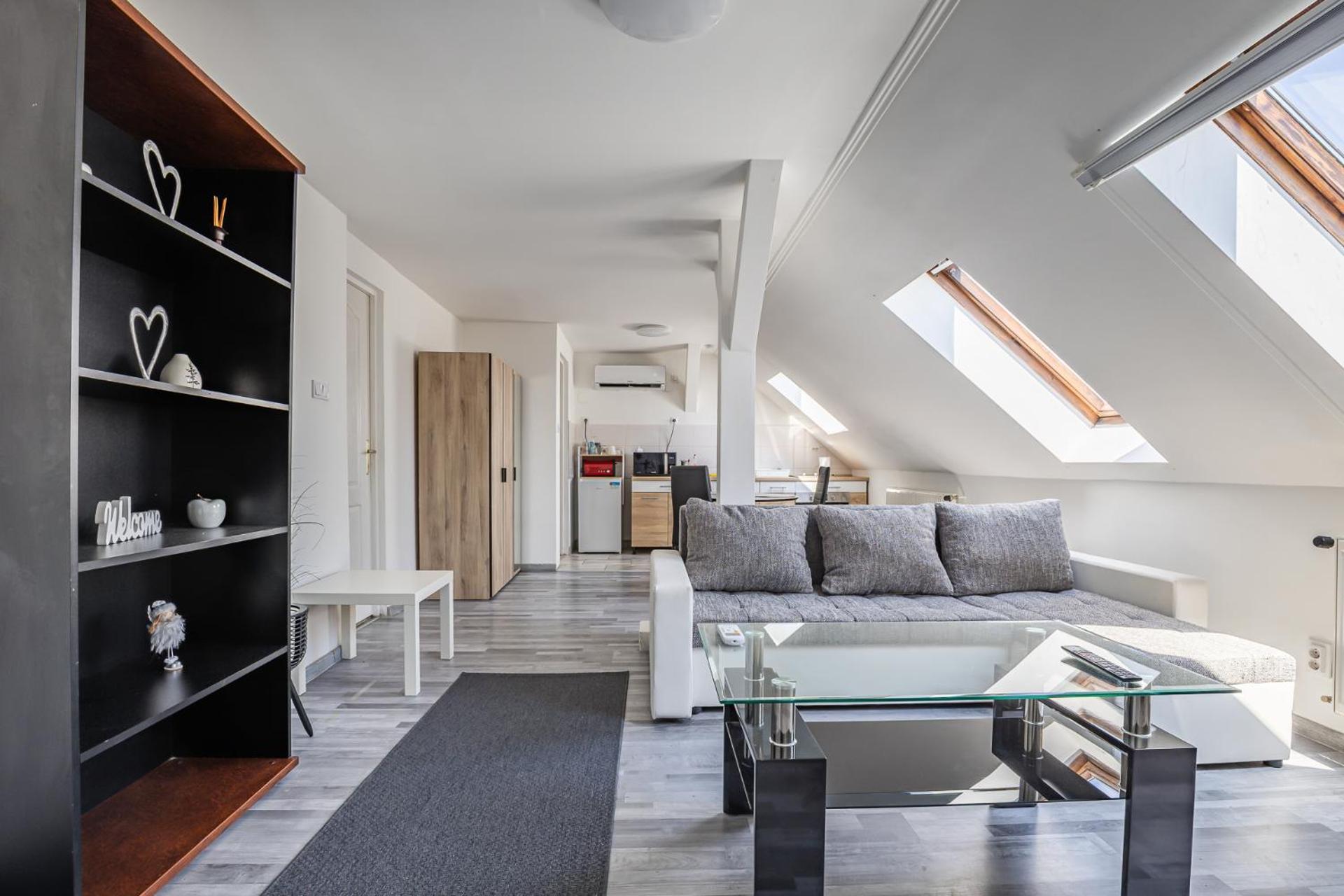Penthouse Apartment