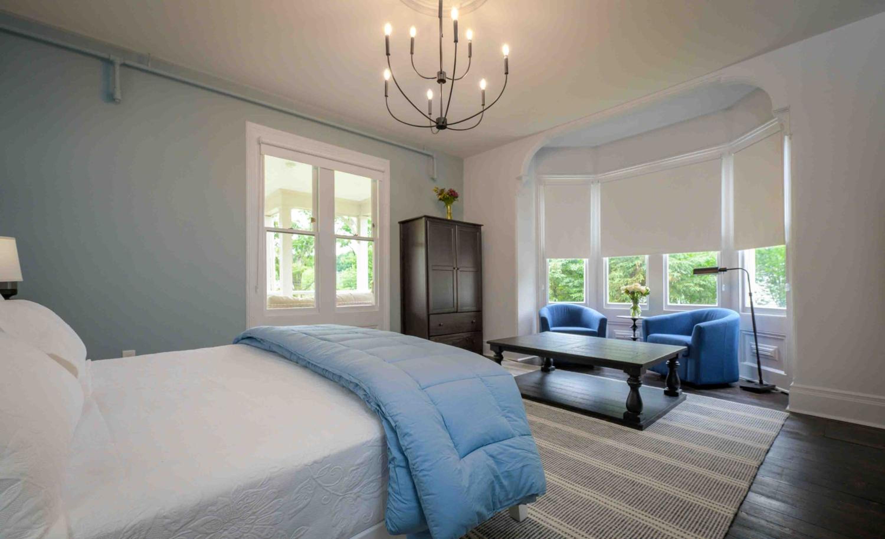 Deluxe King Suite photo 1