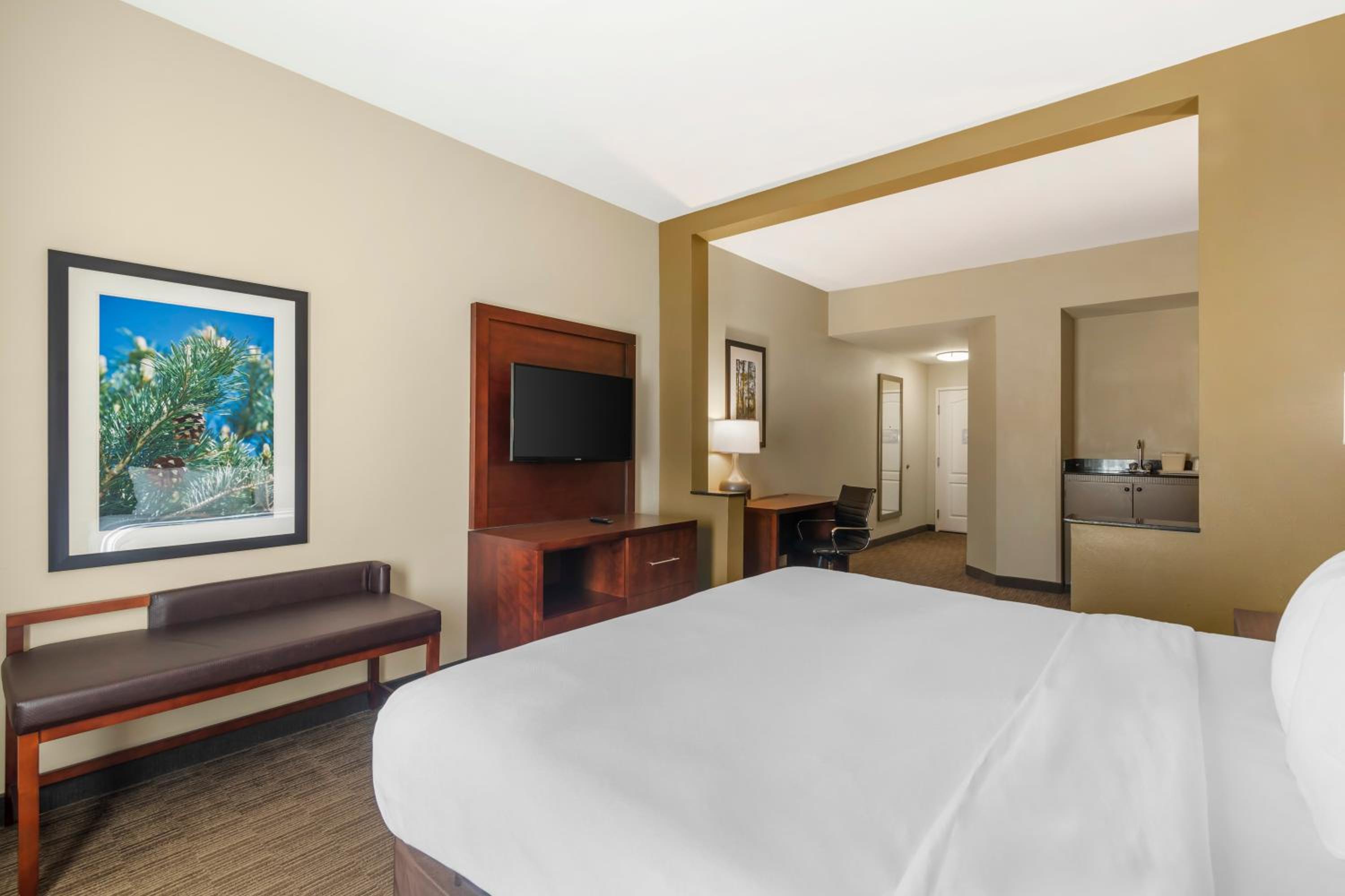 King Suite - Accessible/Non-Smoking