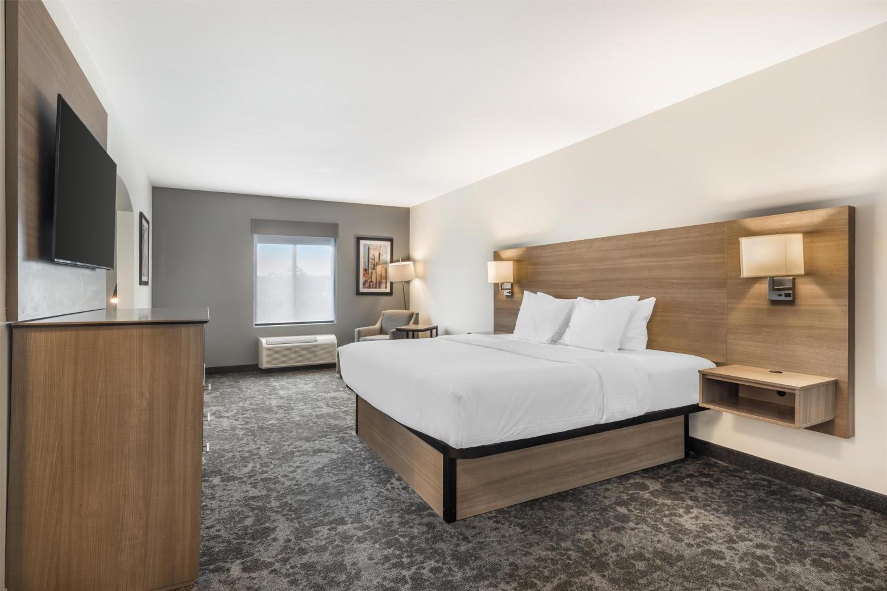 King Suite with Sofa Bed - Non-Smoking - Photo 1