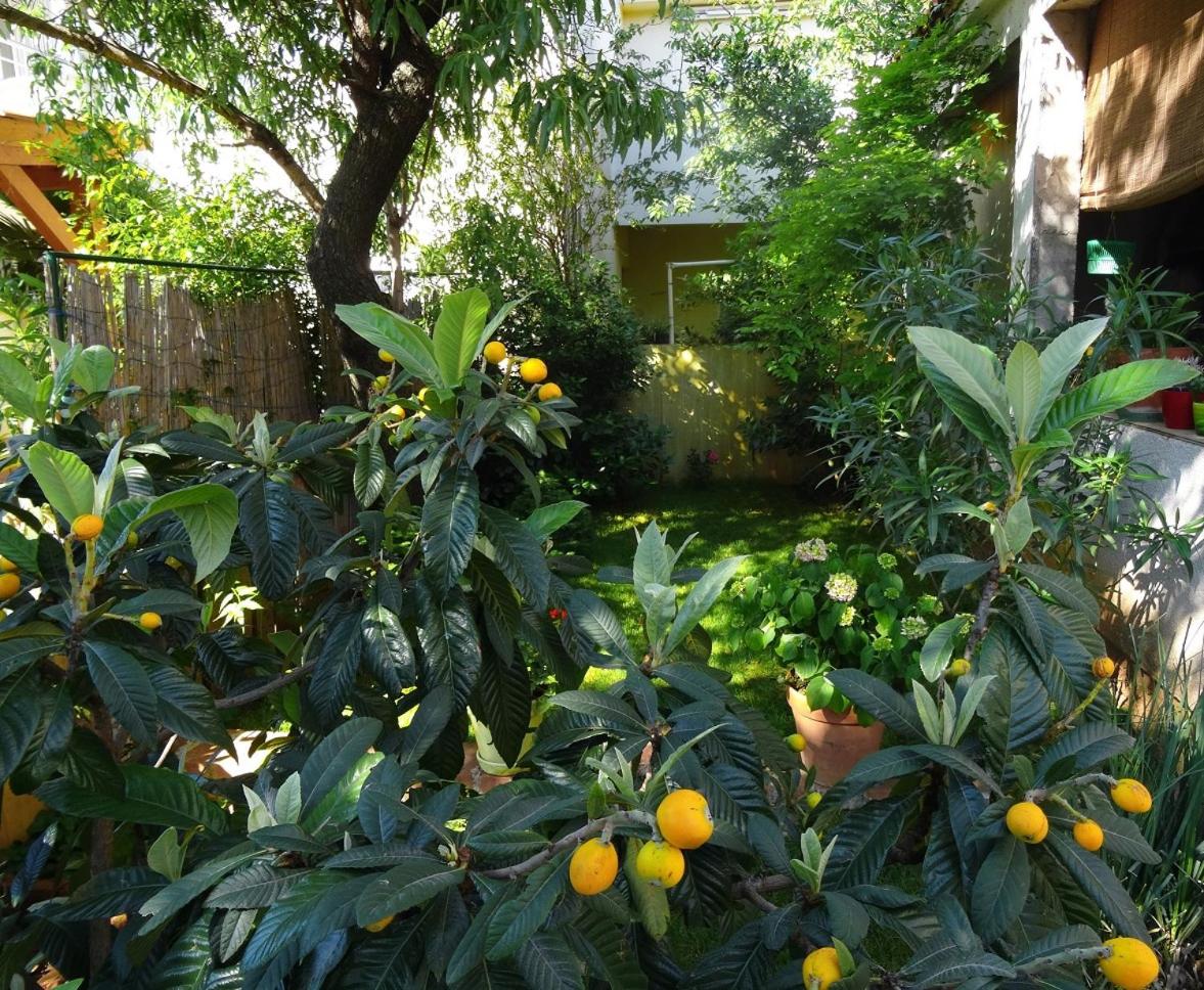 Apartment with Terrace photo 3