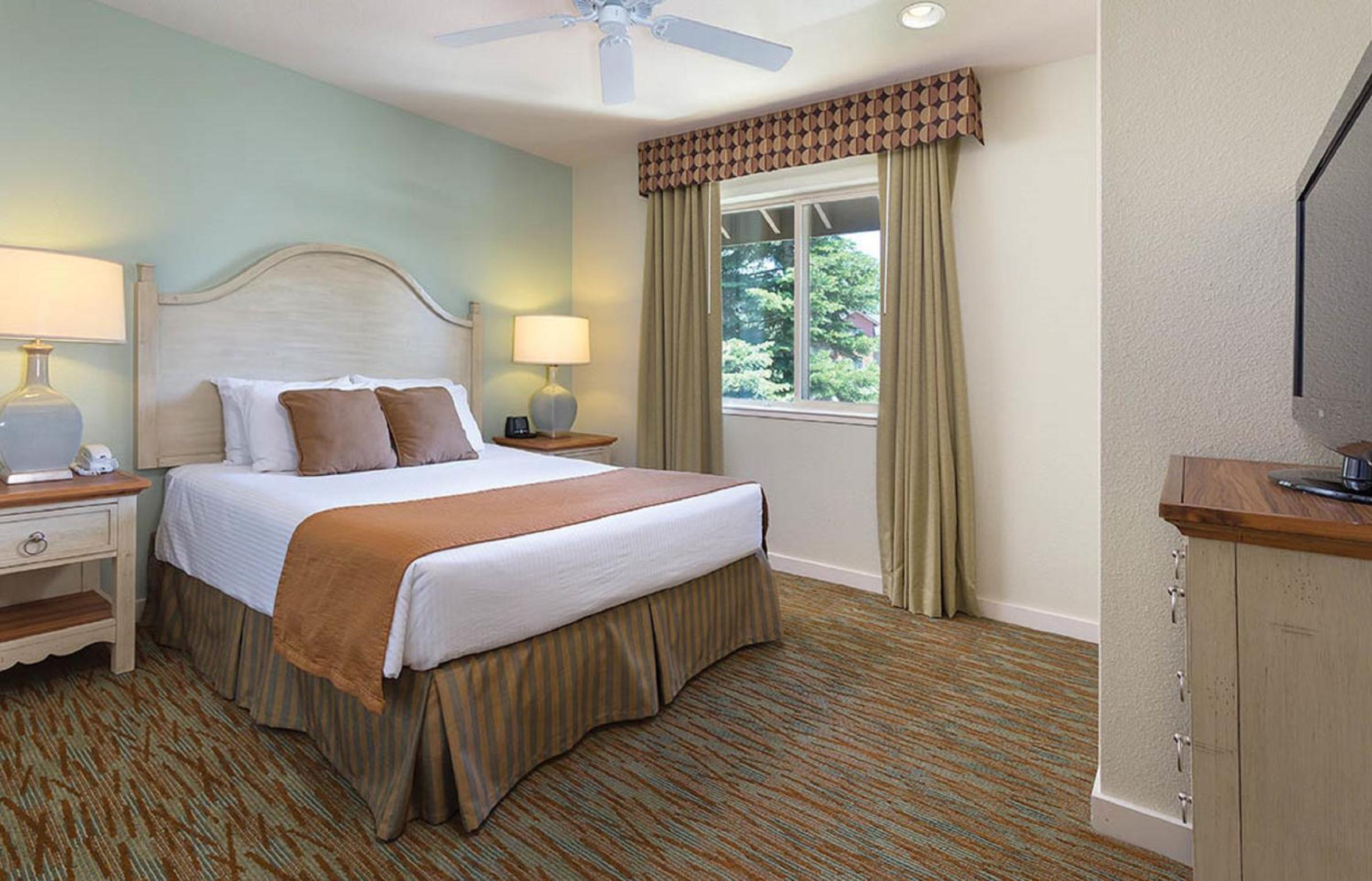 Three Bedroom Suite photo 1