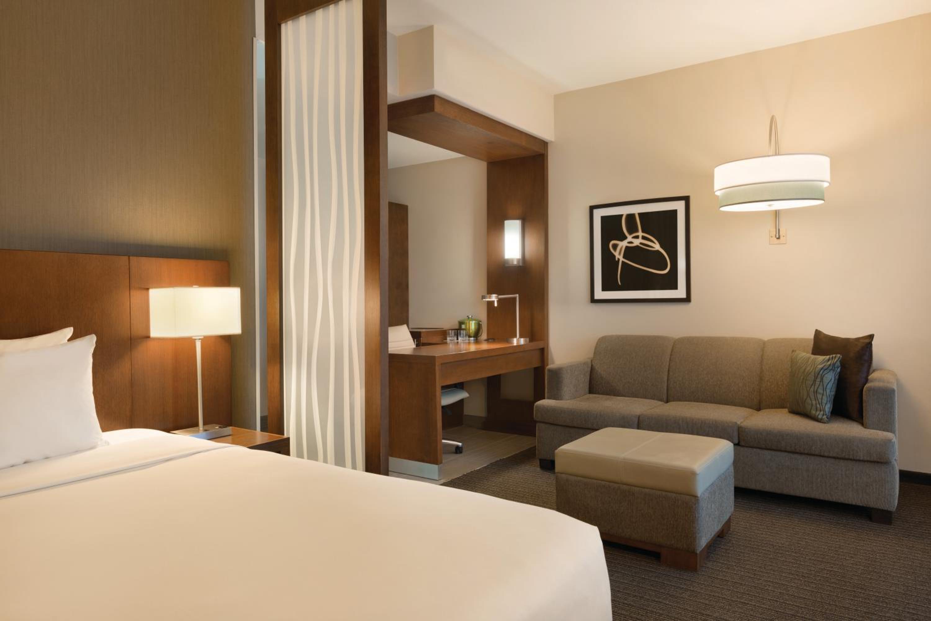 Large King Room with Sofa Bed - Photo 1