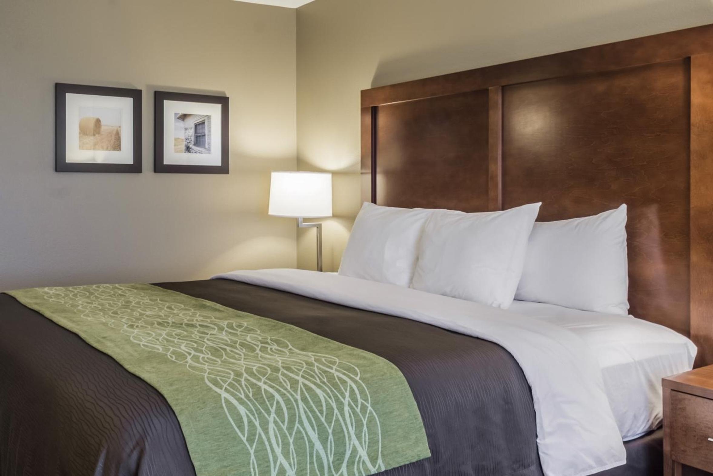 King Room photo 3
