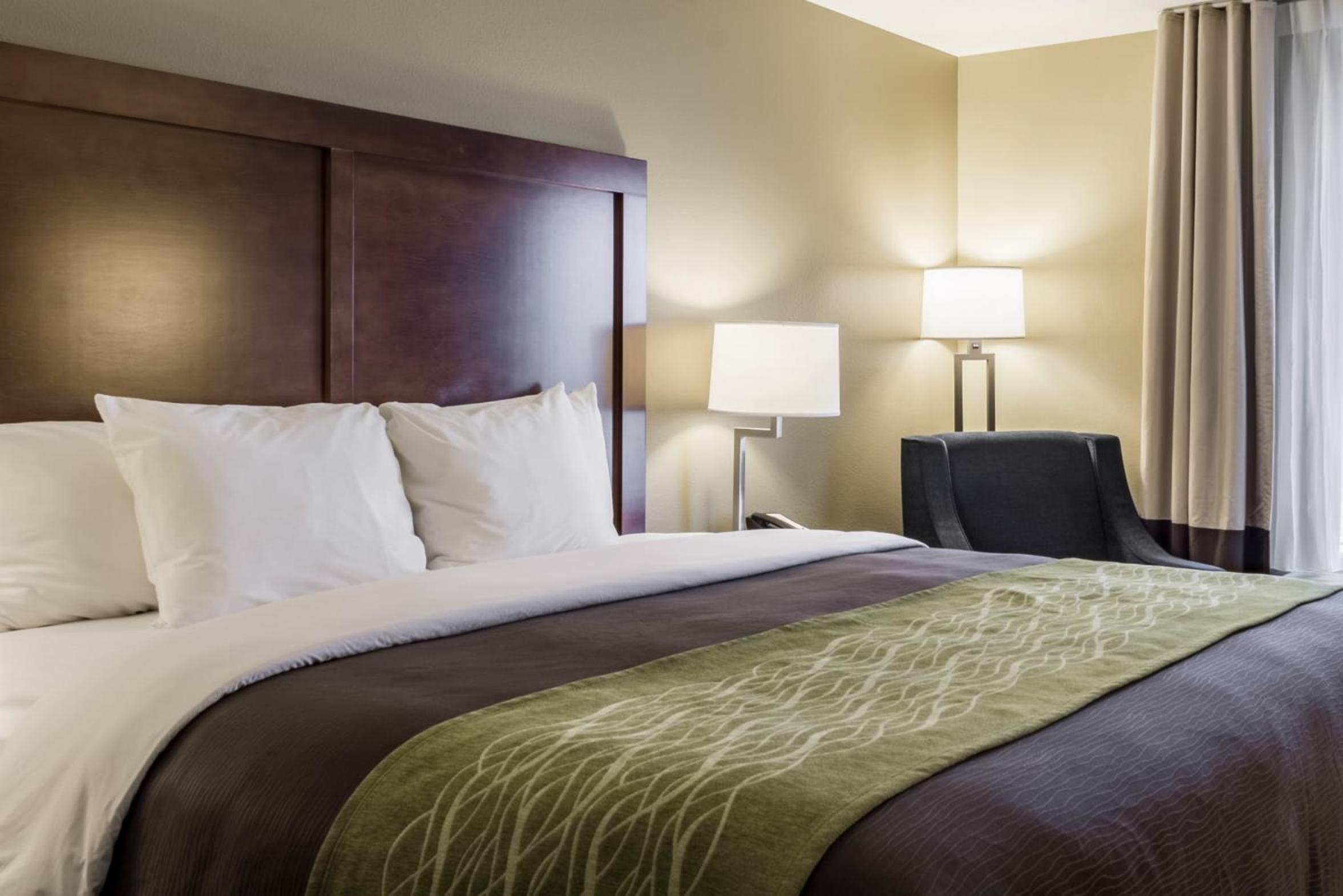 King Room photo 2