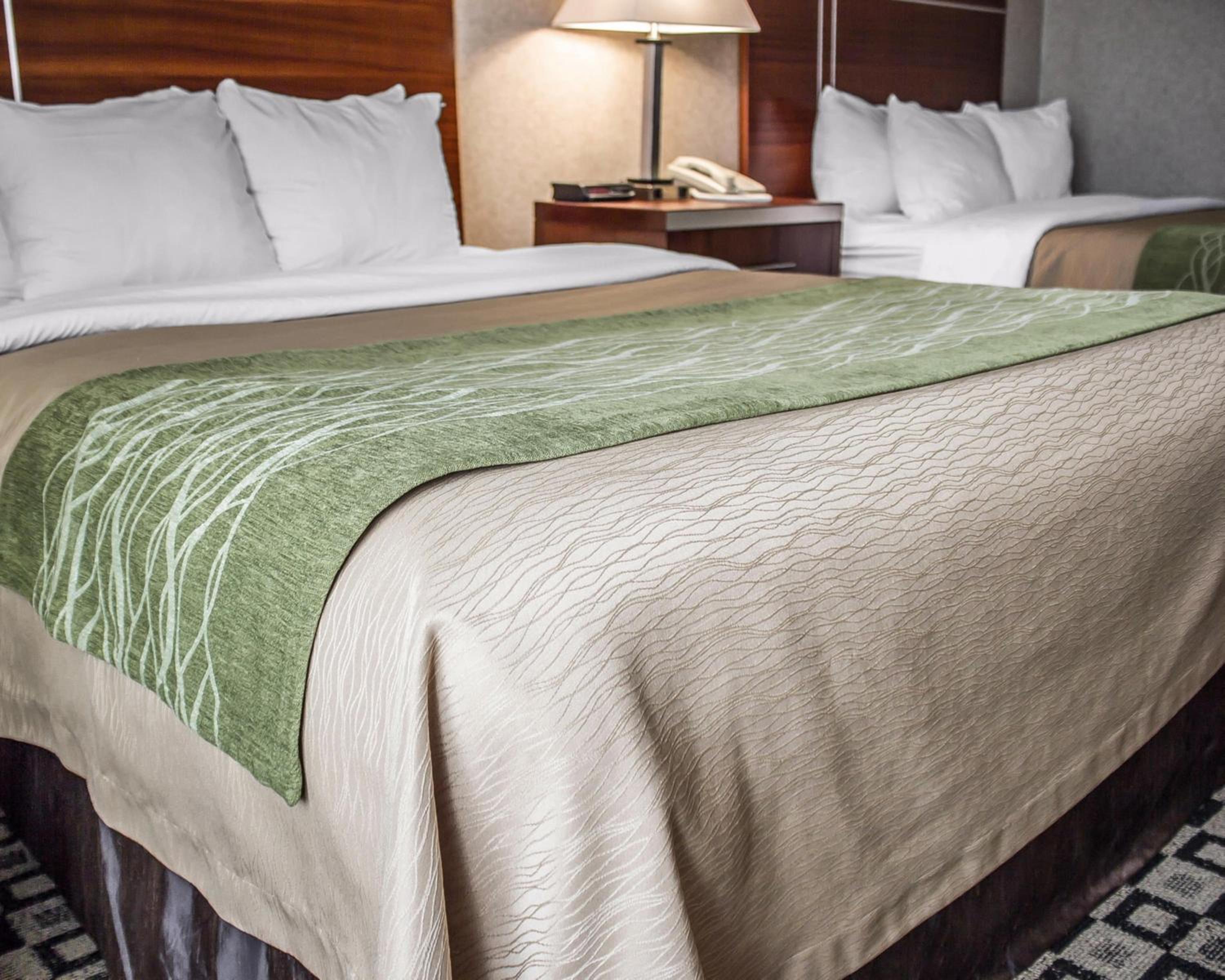 Queen Room with Two Queen Beds - Non-Smoking - Photo 1