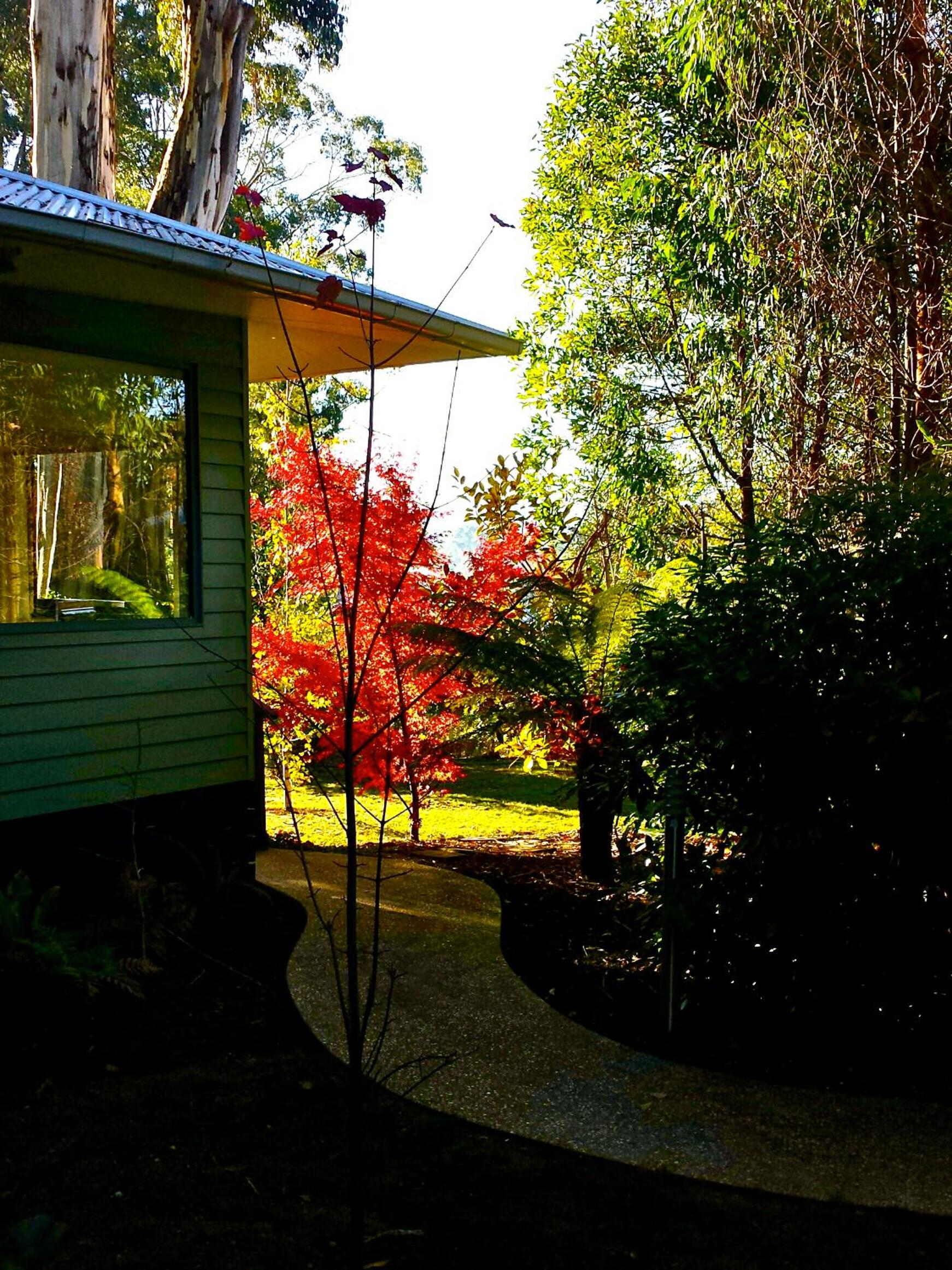One-Bedroom Cottage - The Bower photo 2