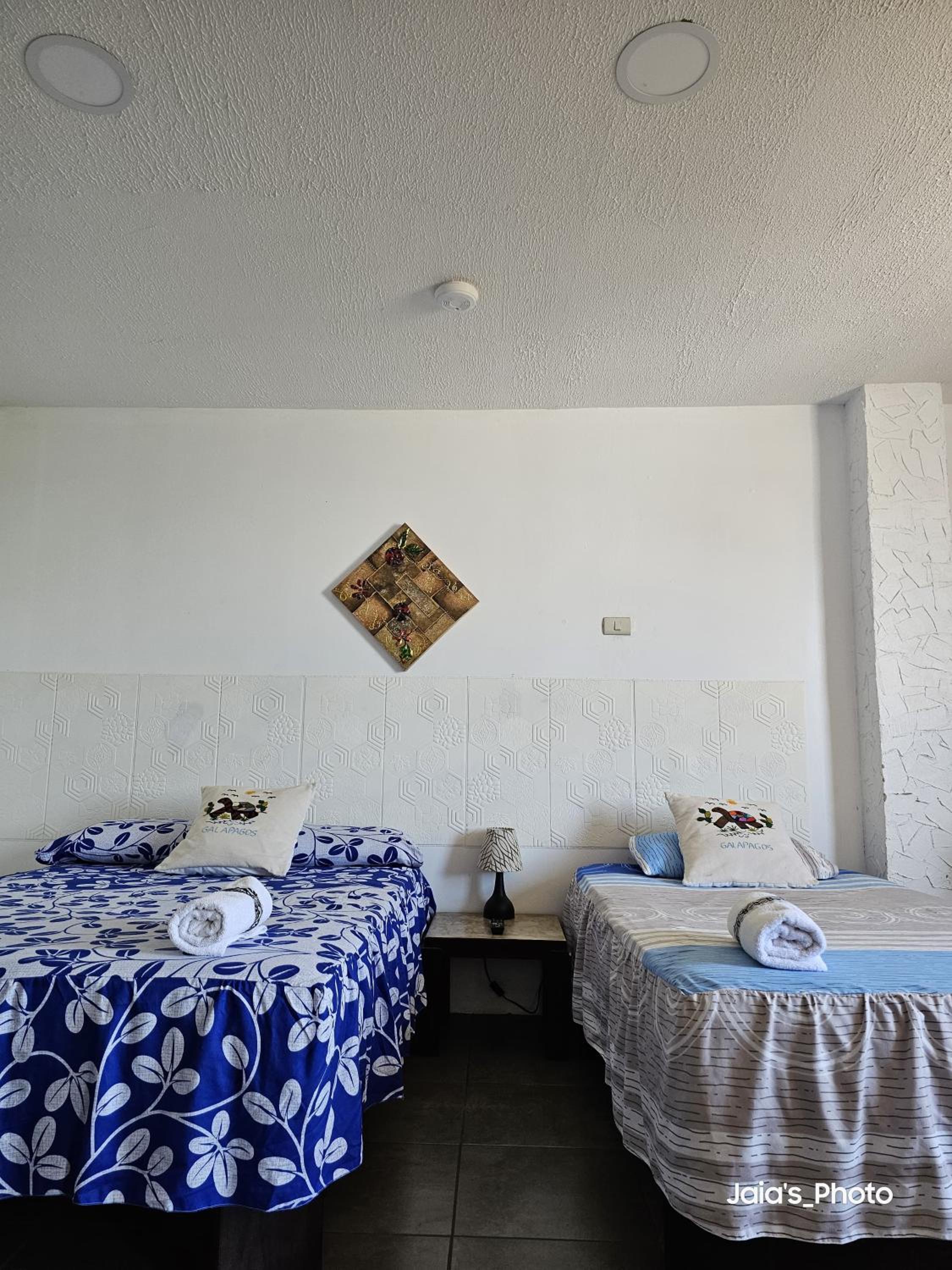 Triple Room photo 1