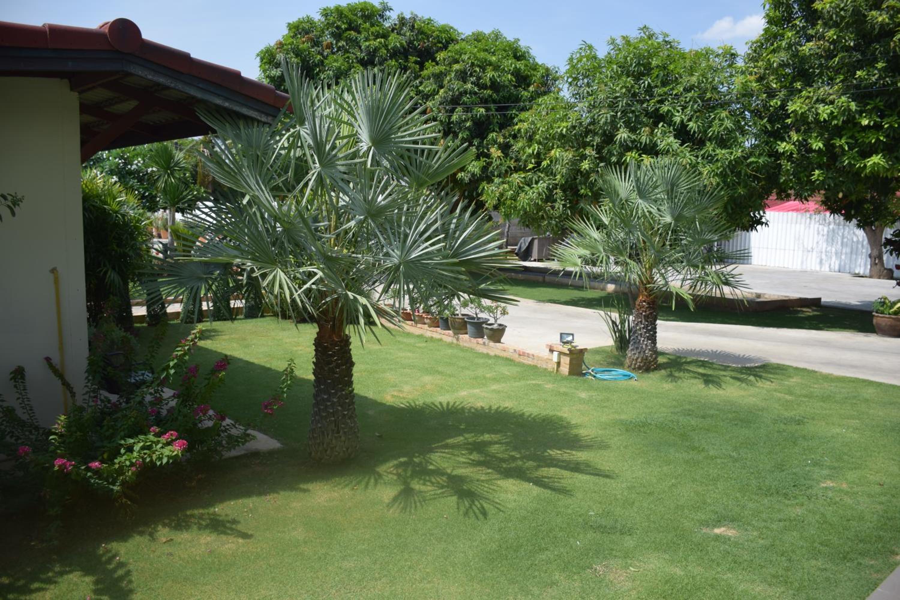 Deluxe Double Room "Lupine" with Garden View photo 2