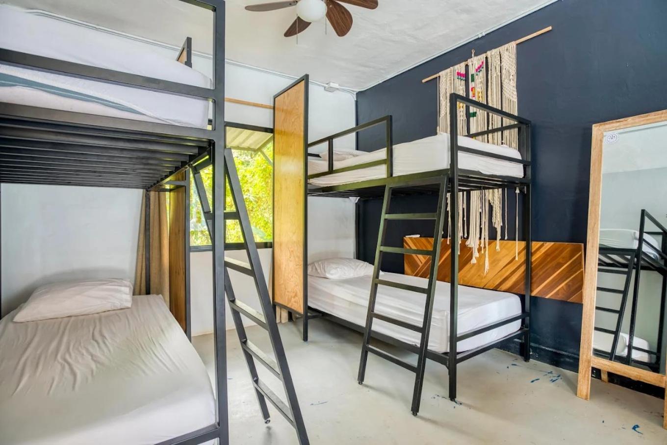 Bed in 4-Bed Mixed Dormitory Room