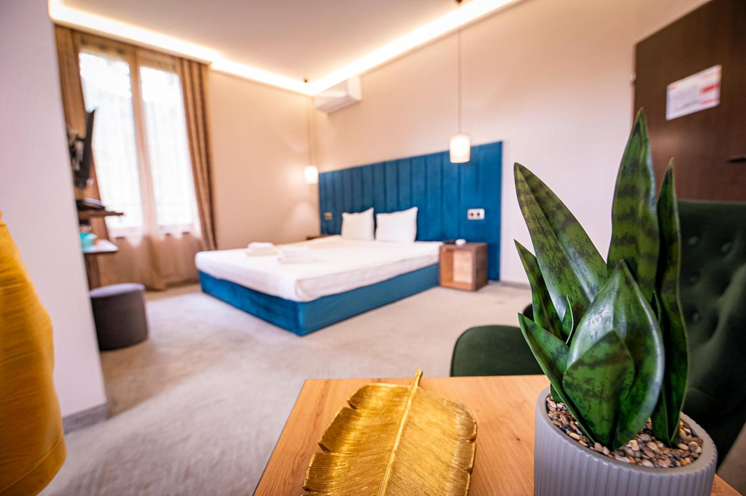 Double Room with Terrace