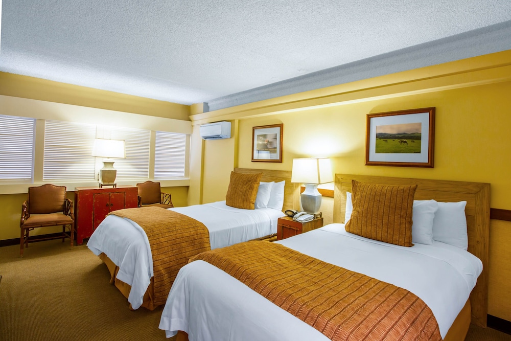 Deluxe Room, 2 Double Beds, City View - Photo 5