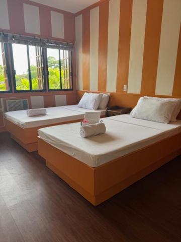 Twin Room with View photo 2