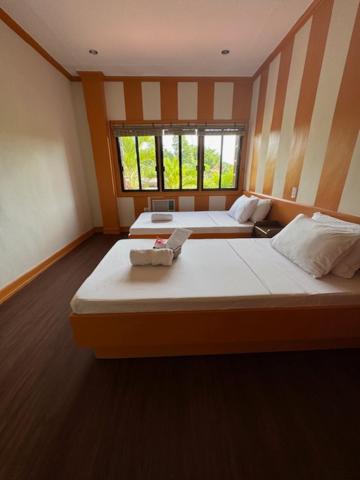 Twin Room with View photo 3