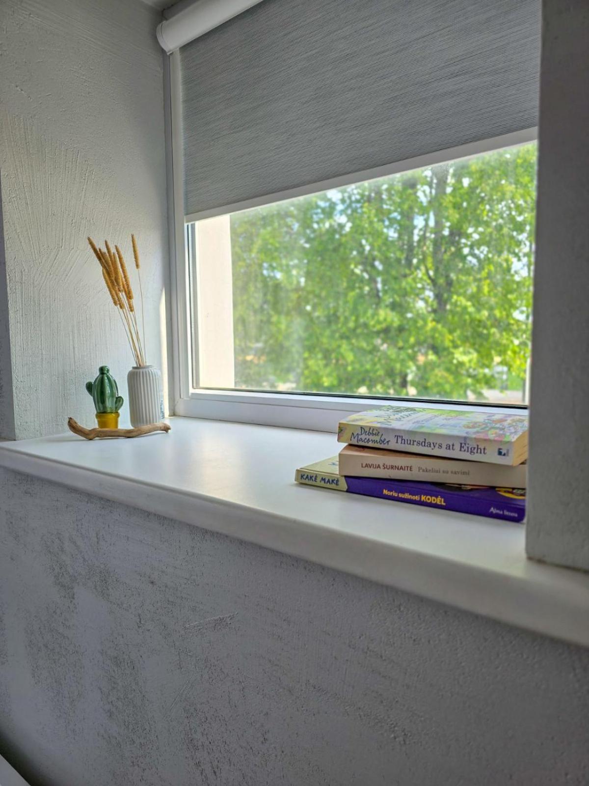 Studio Apartment photo 3
