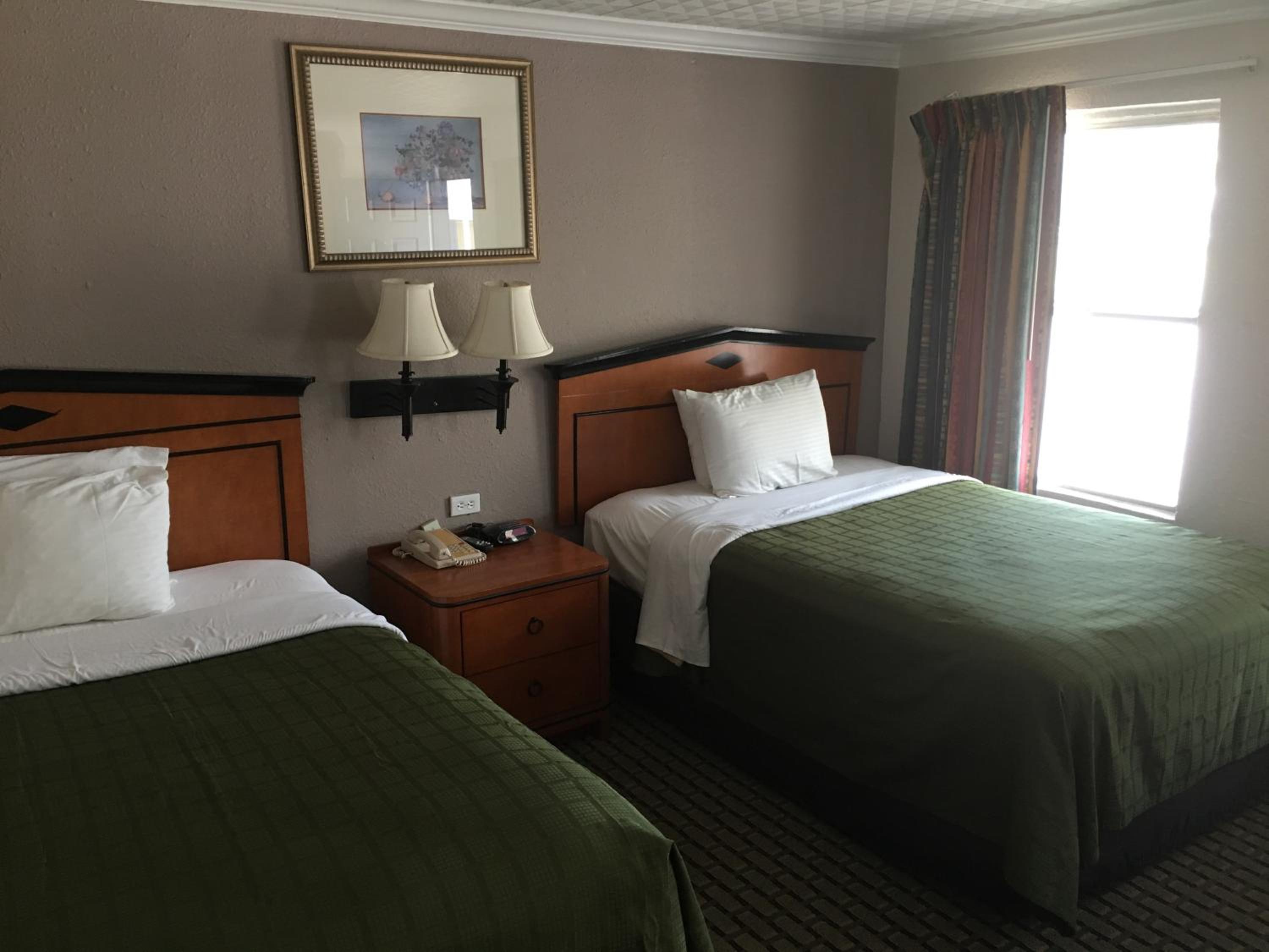 Deluxe Double Room photo 2