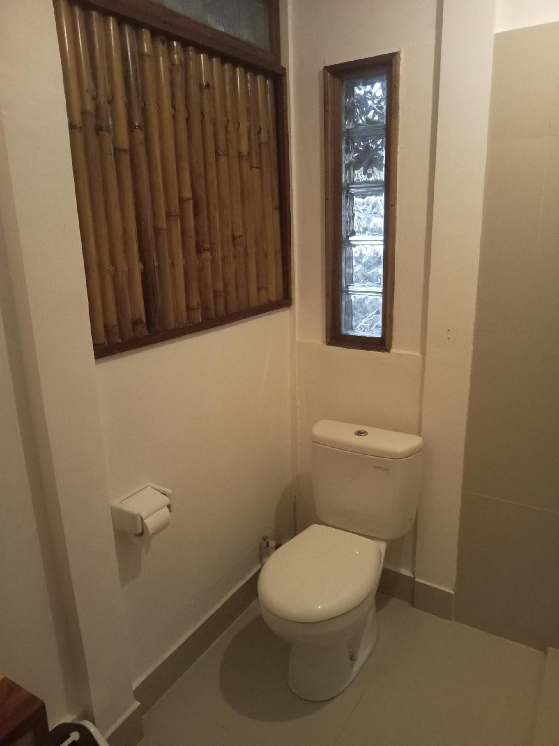 Deluxe Villa photo 2