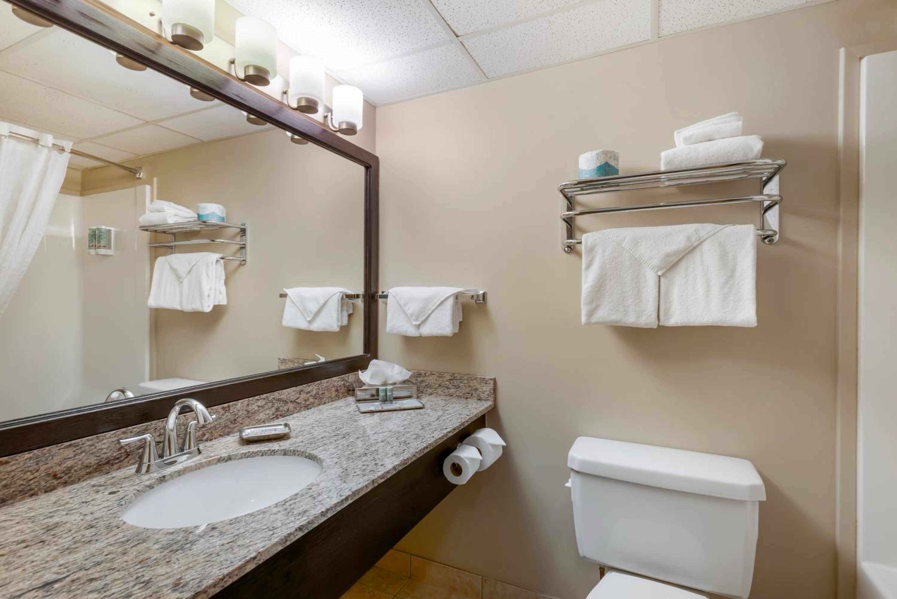 King Room with Roll-In Shower - Mobility Accessible photo 3