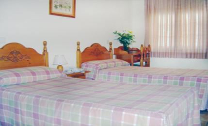 Economy Twin Room - Photo 3