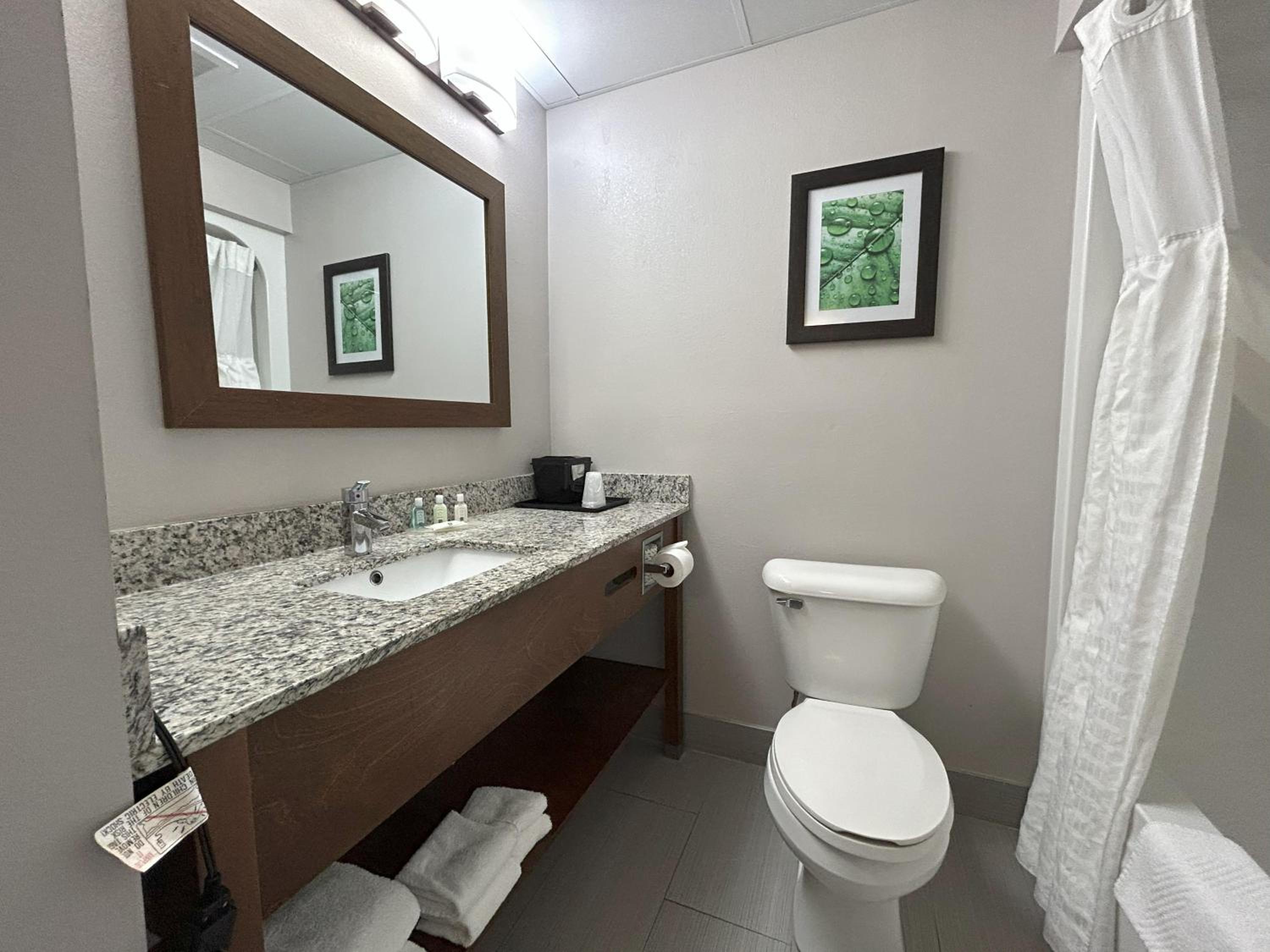 King Room - Accessible/Non-Smoking - Photo 4