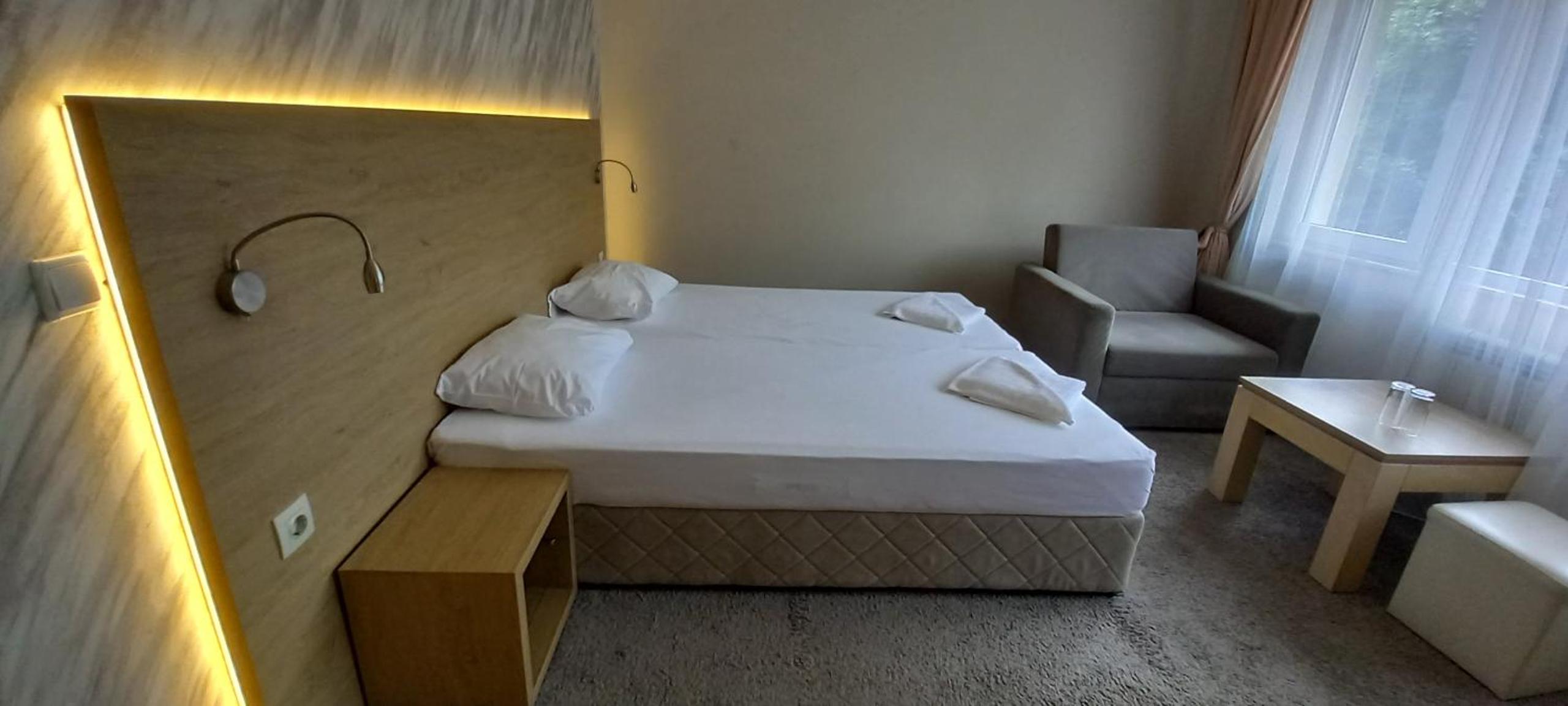 Double or Twin Room with Mountain View
