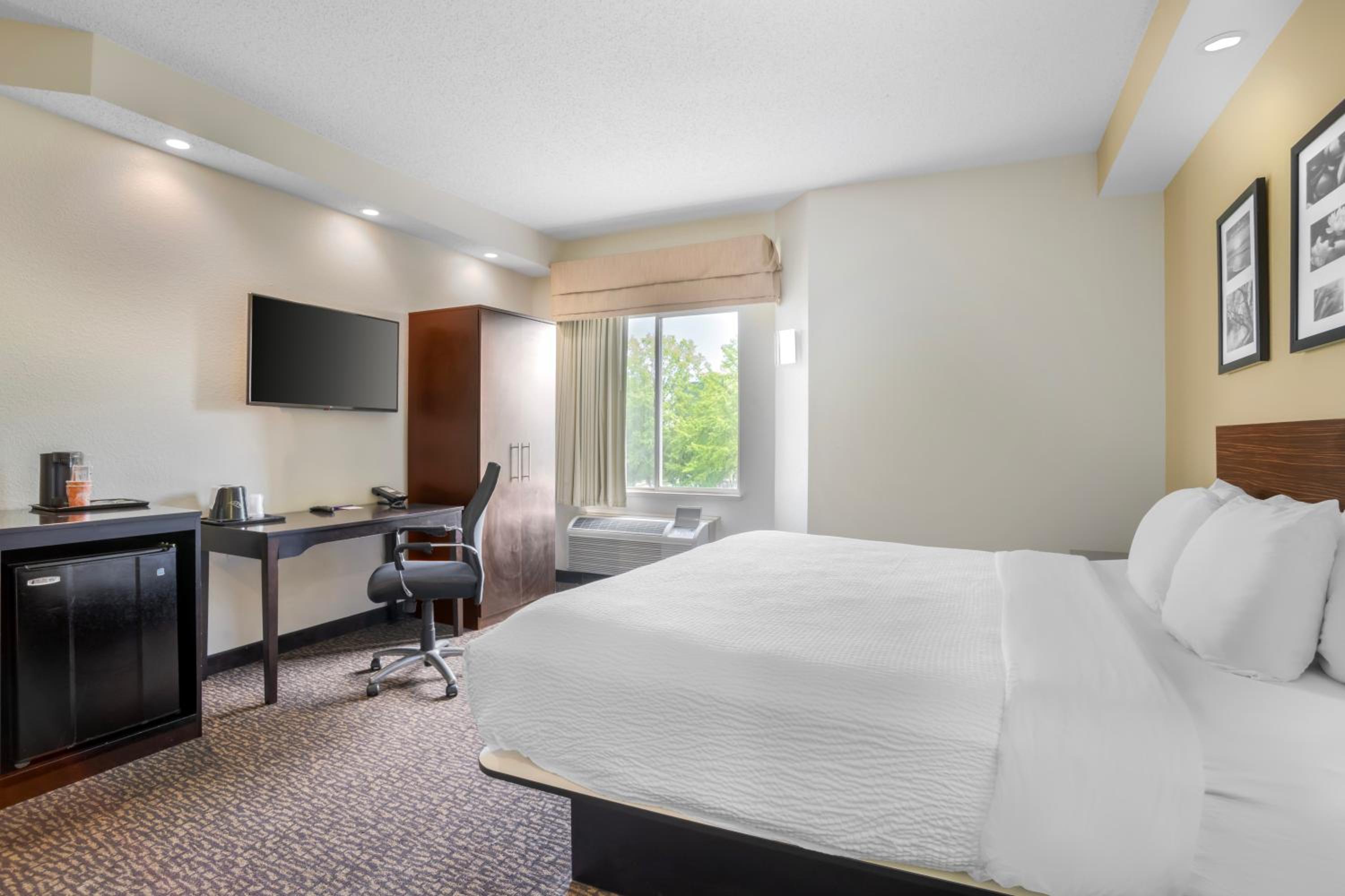 King Room with Roll-In Shower - Accessible/Non-Smoking - Photo 2