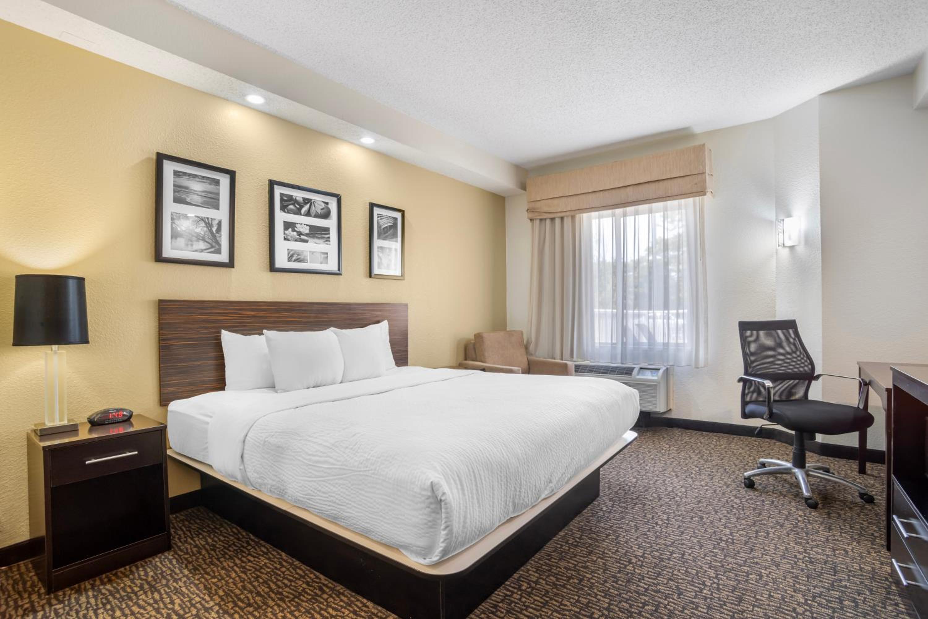 King Suite - Accessible/Non-Smoking - Photo 3