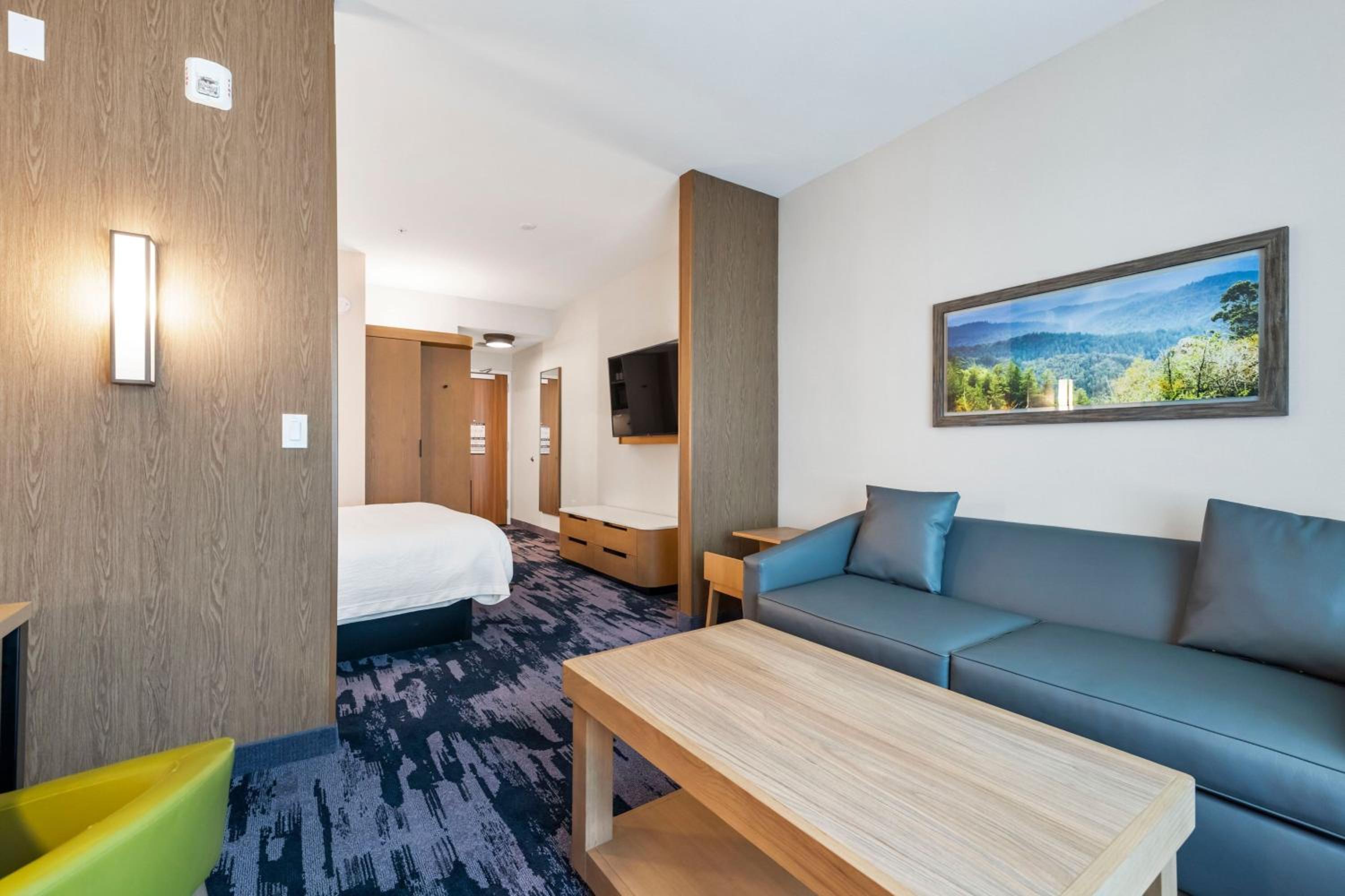 Studio with King Bed and Sofa Bed - Hearing Accessible
