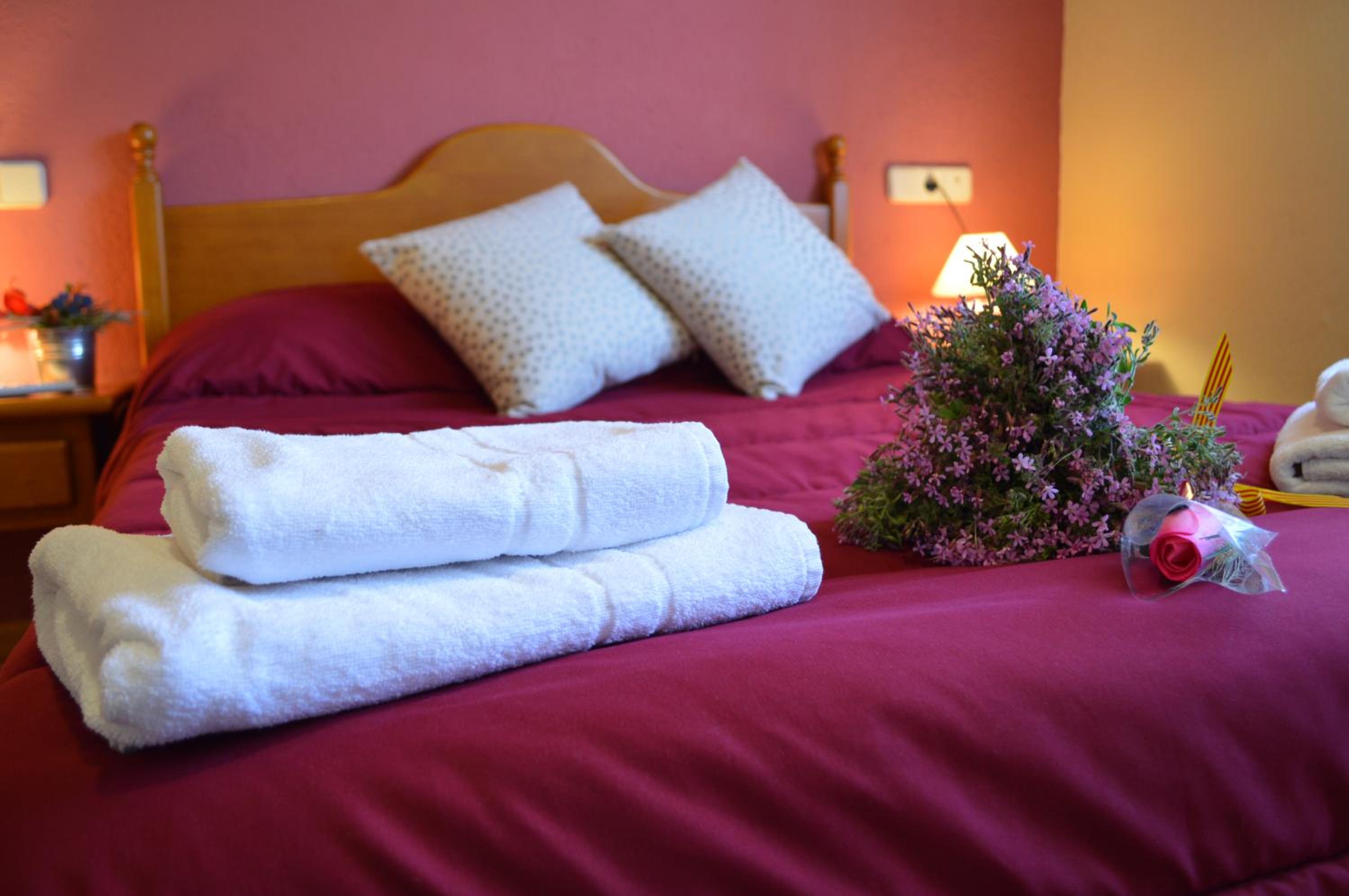 Double or Twin Room photo 2