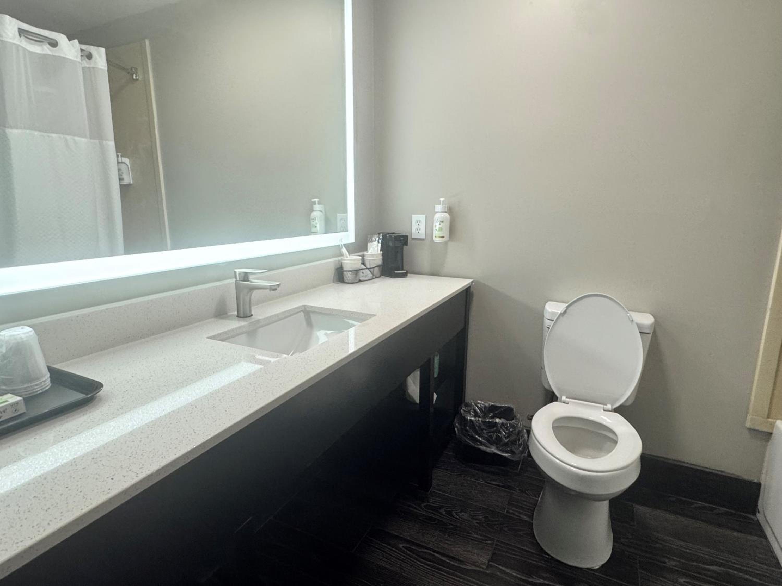 King Room - Non-Smoking - Photo 4