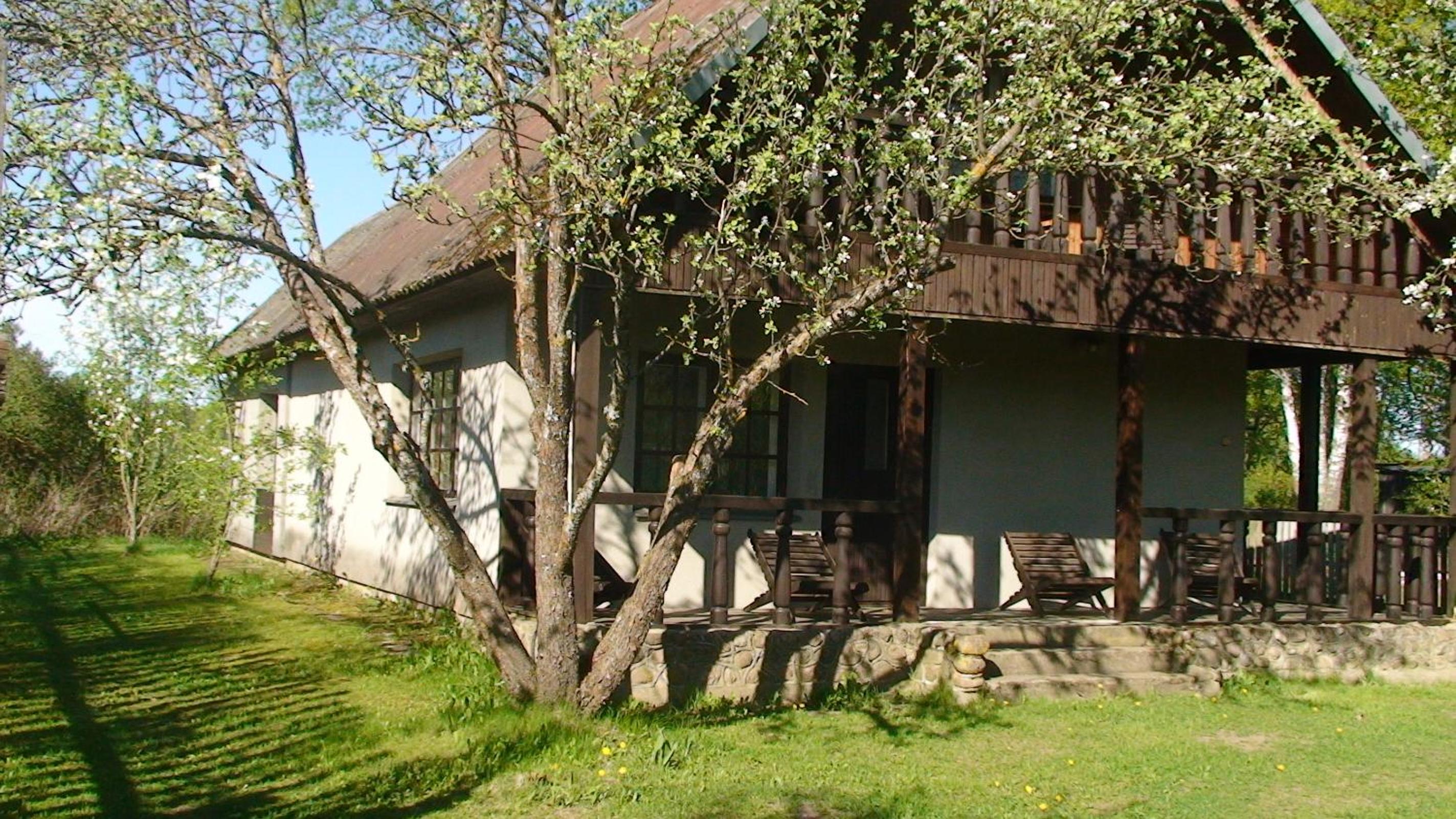 One-Bedroom House photo 3