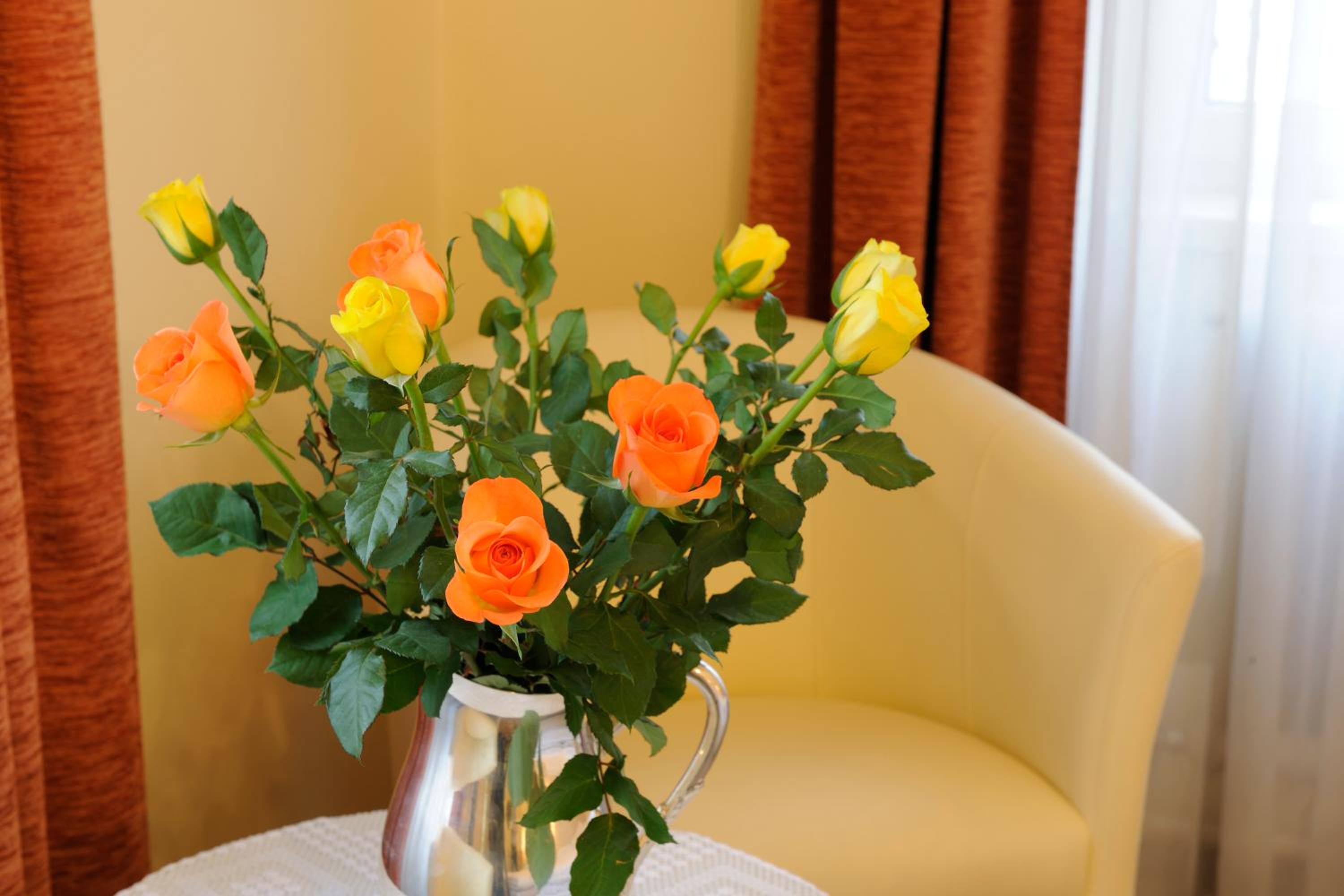 Twin Room - Photo 8