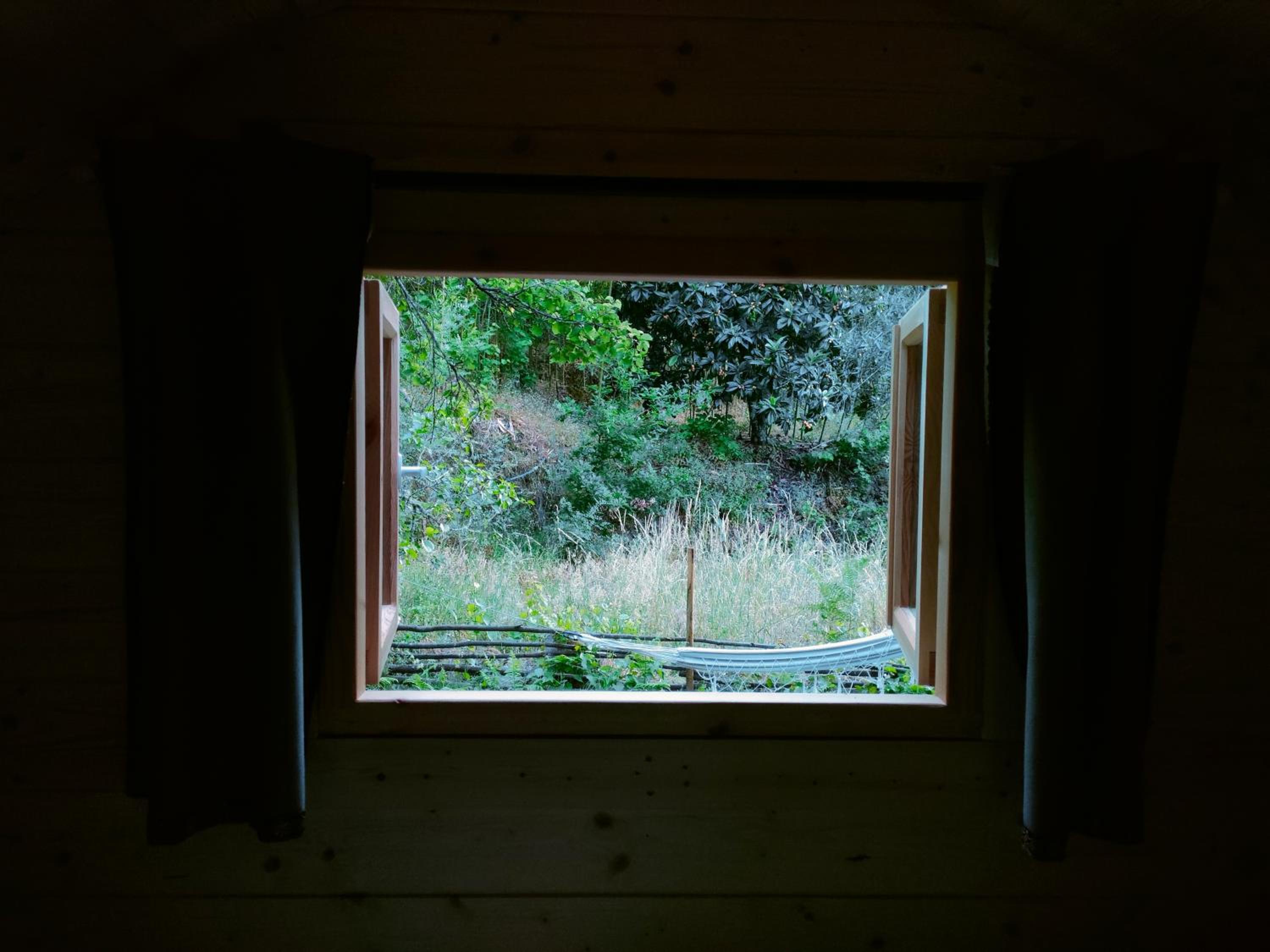 Bungalow photo 3