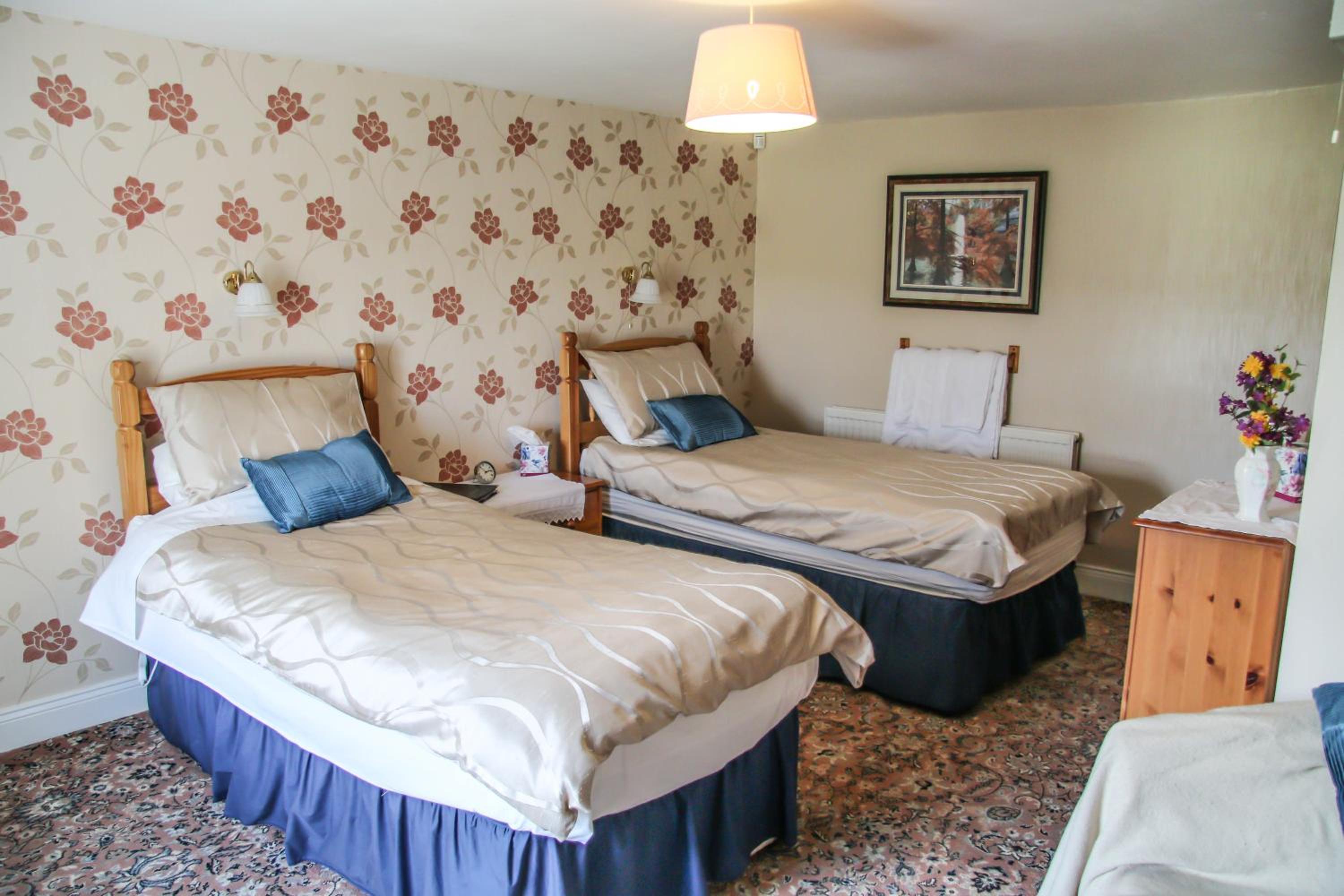Twin Room photo 1
