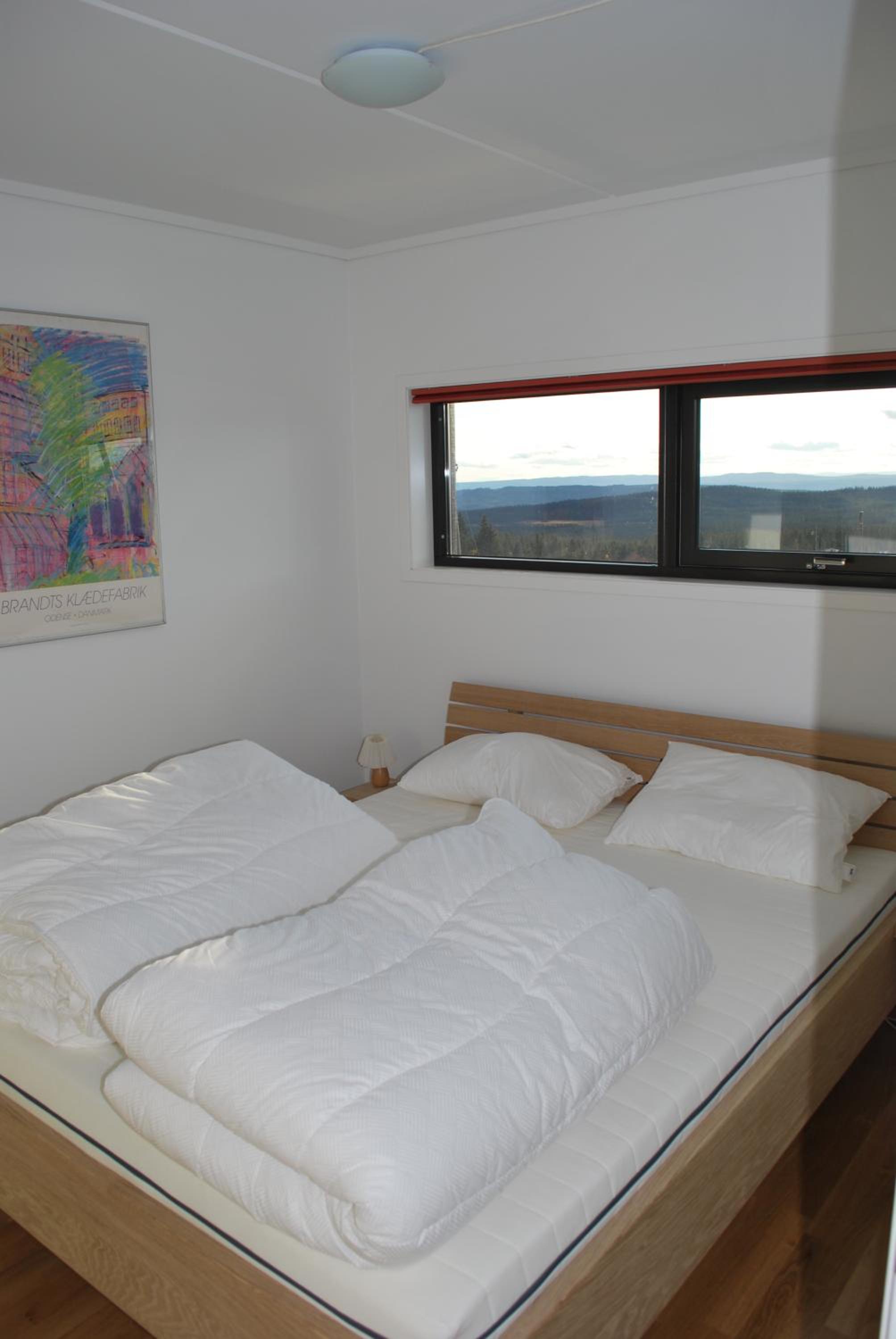 Apartment (4 Adults) photo 3