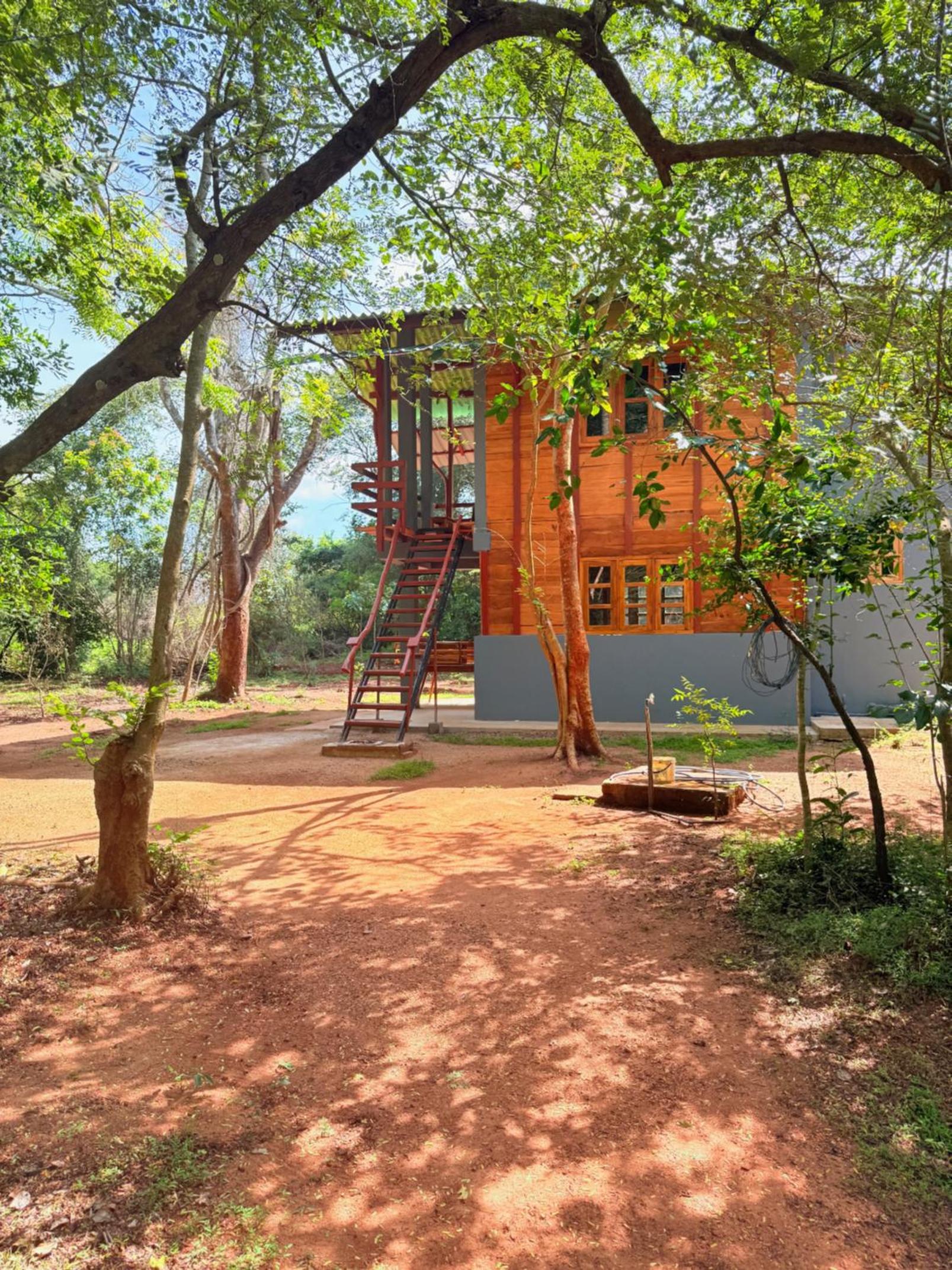 Double Room with Garden View photo 2