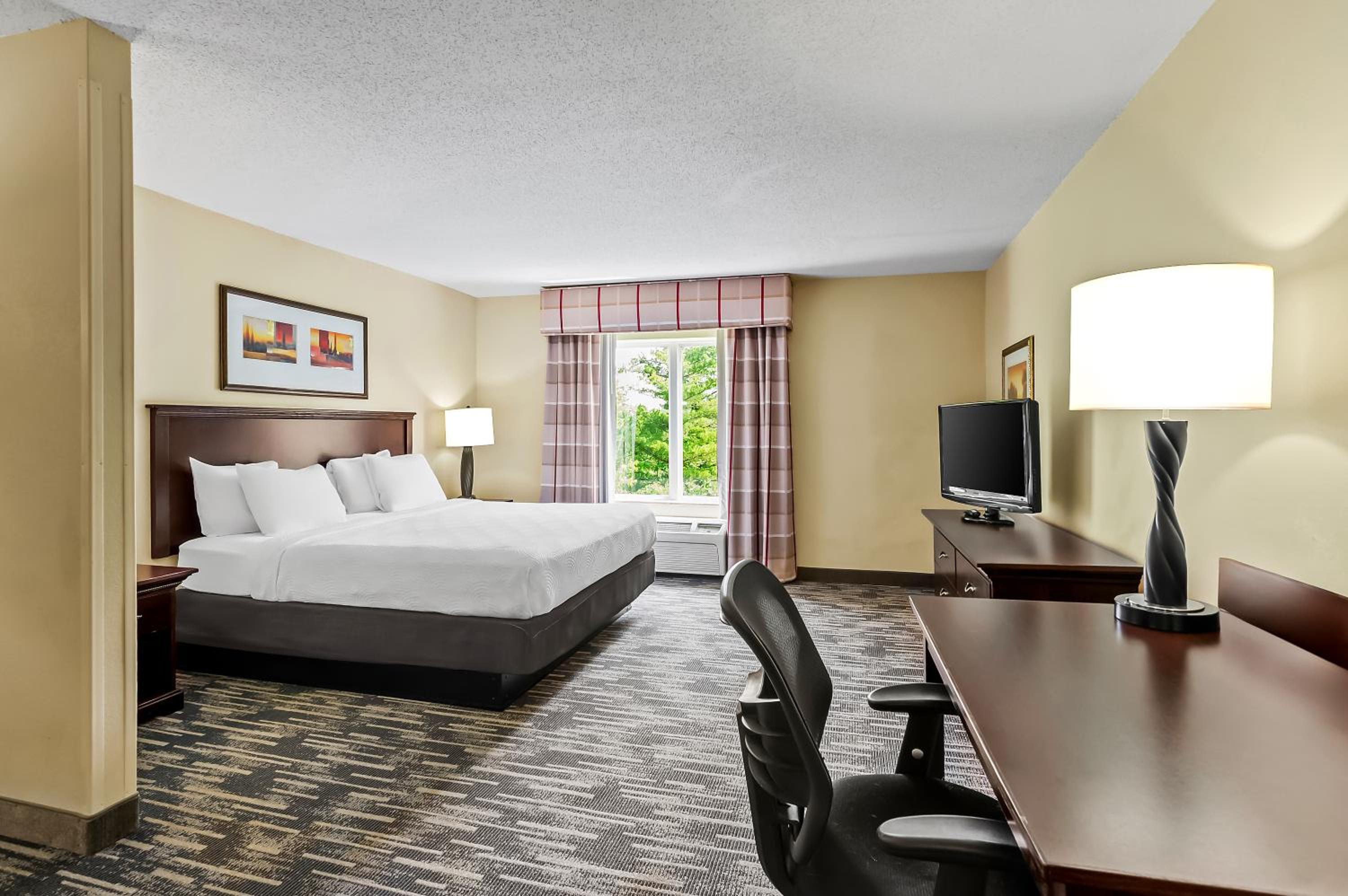 King Suite - Disability Access/Non Smoking - Photo 2
