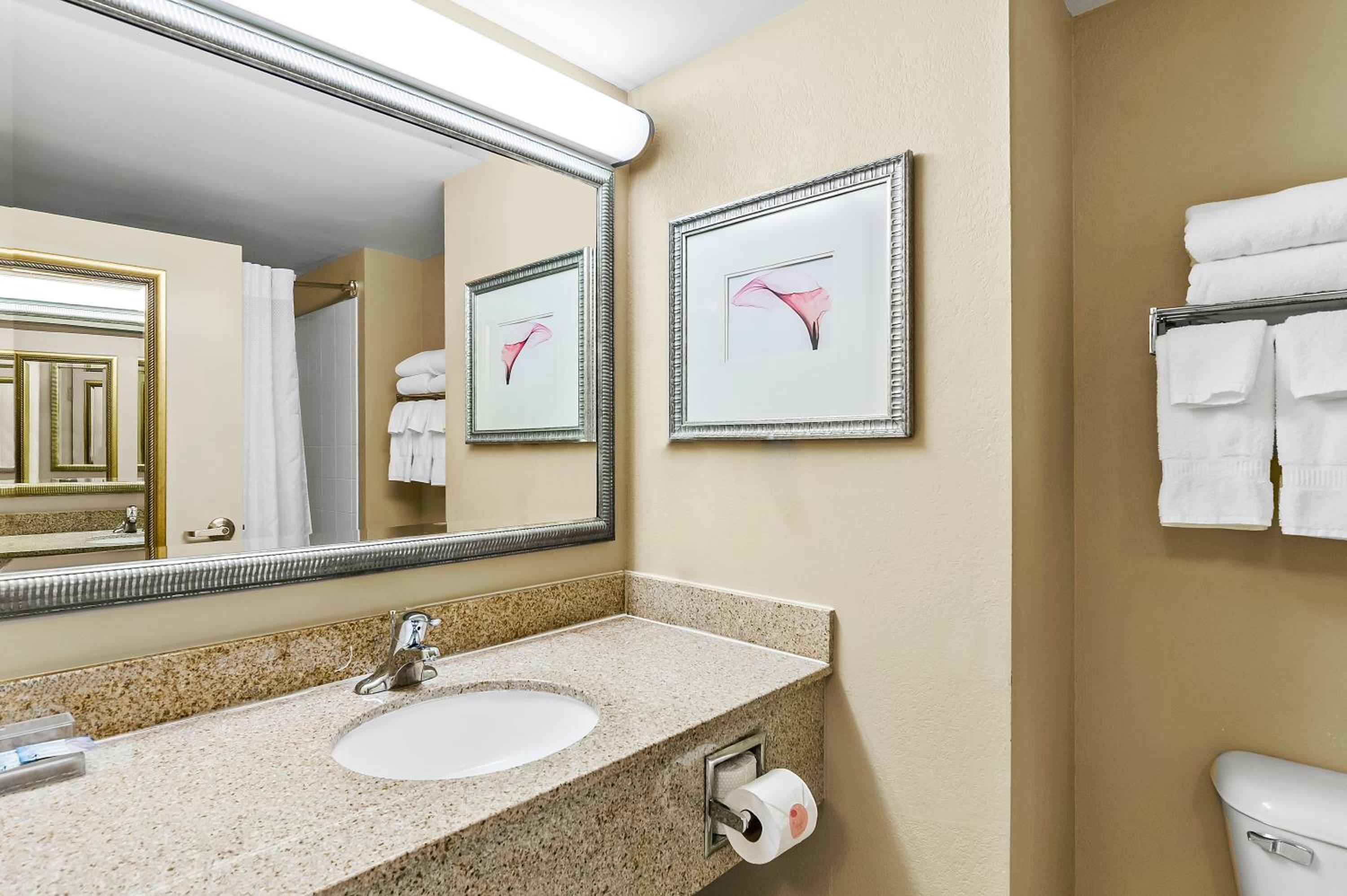 King Suite - Disability Access/Non Smoking - Photo 5