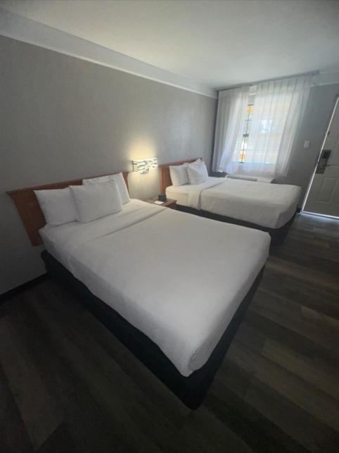 Superior Double Room with Two Double Beds - Non-Smoking photo 1