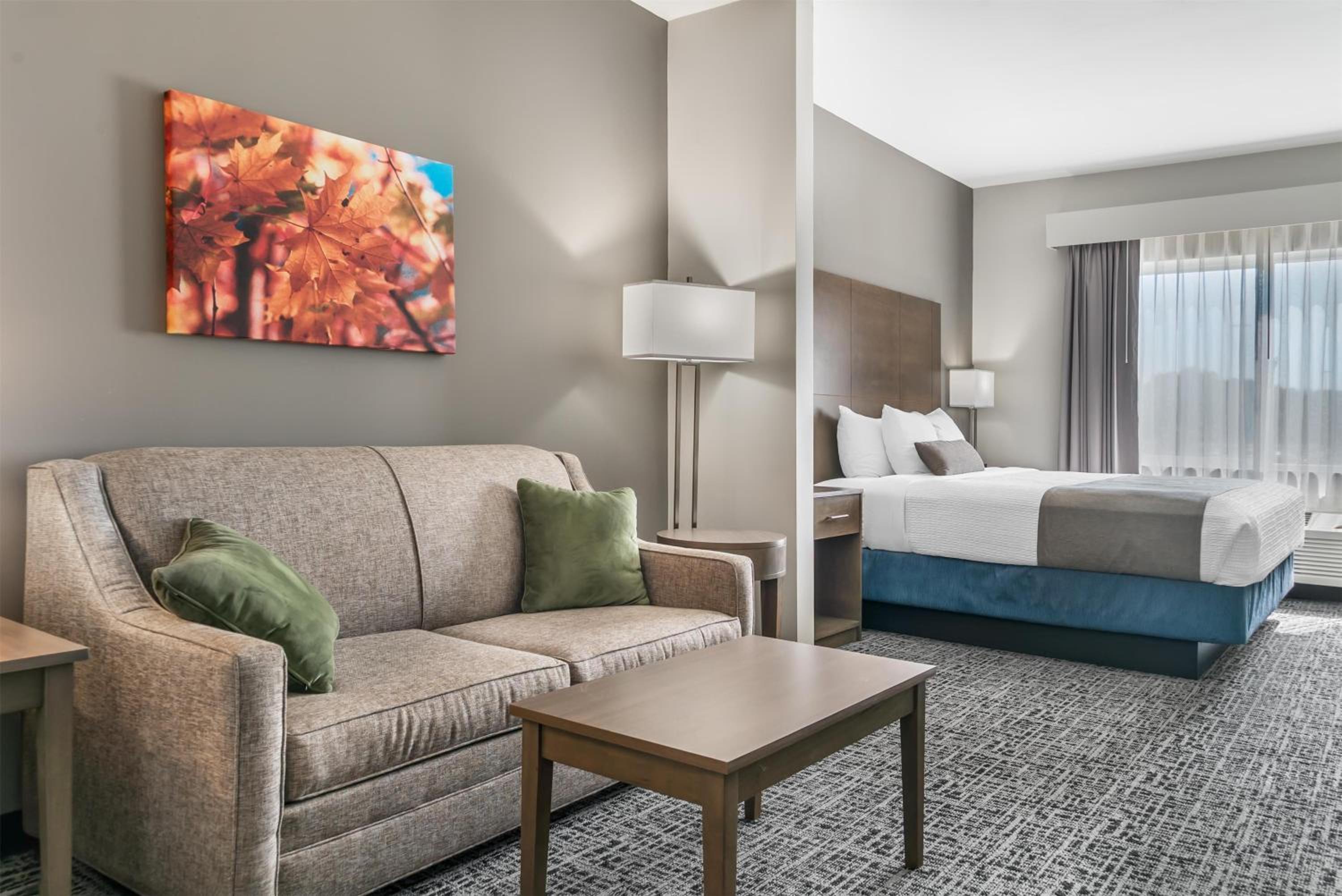King Suite with Sofa Bed - Non-Smoking - Photo 2
