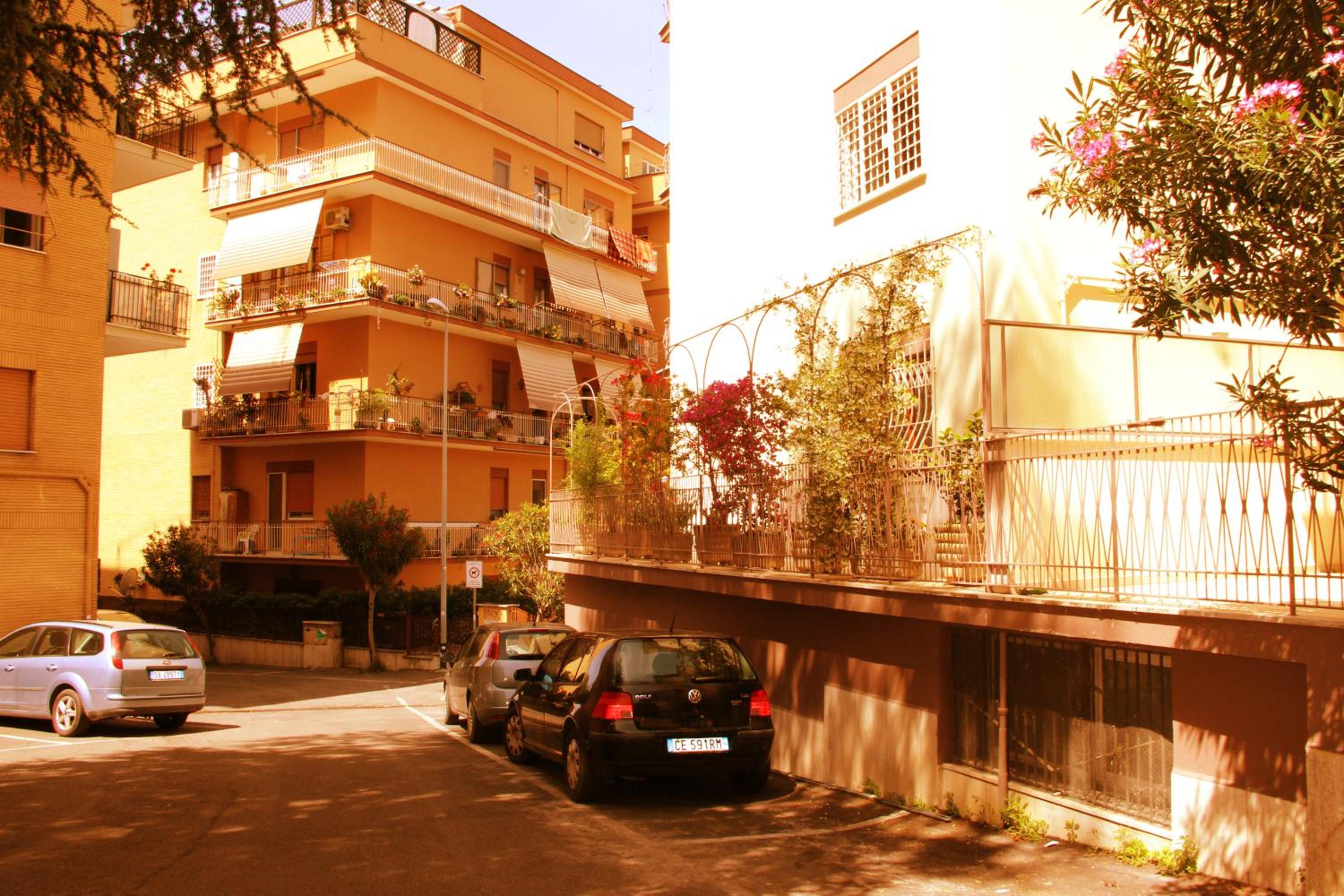 Apartment with Terrace photo 2