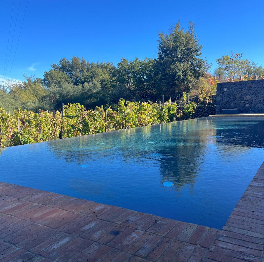Deluxe Villa photo 2