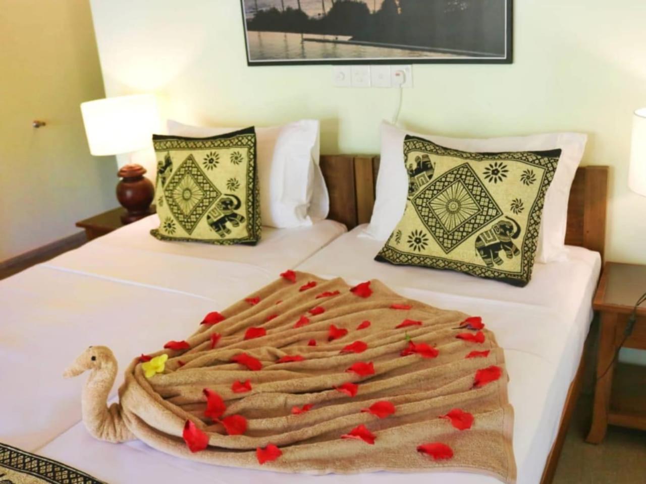 Standard Double Room - Photo 6